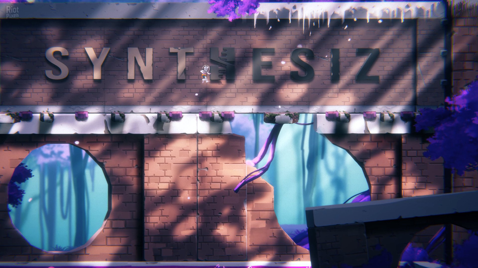 [7]-The Cub: Deluxe Edition + Bonus Soundtrack Download