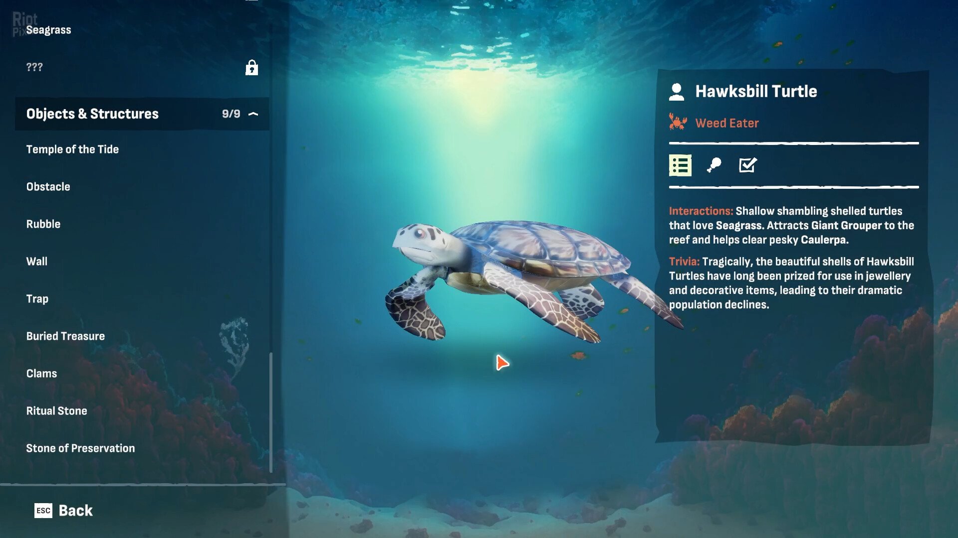 [7]-Crab God: Supporter Edition, v1.0.24 + Bonus Content Download