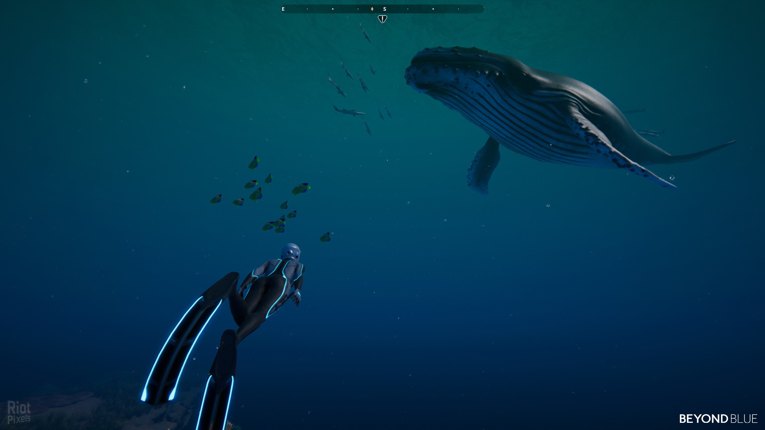 [4]-Beyond Blue – v1.7.17798 Download