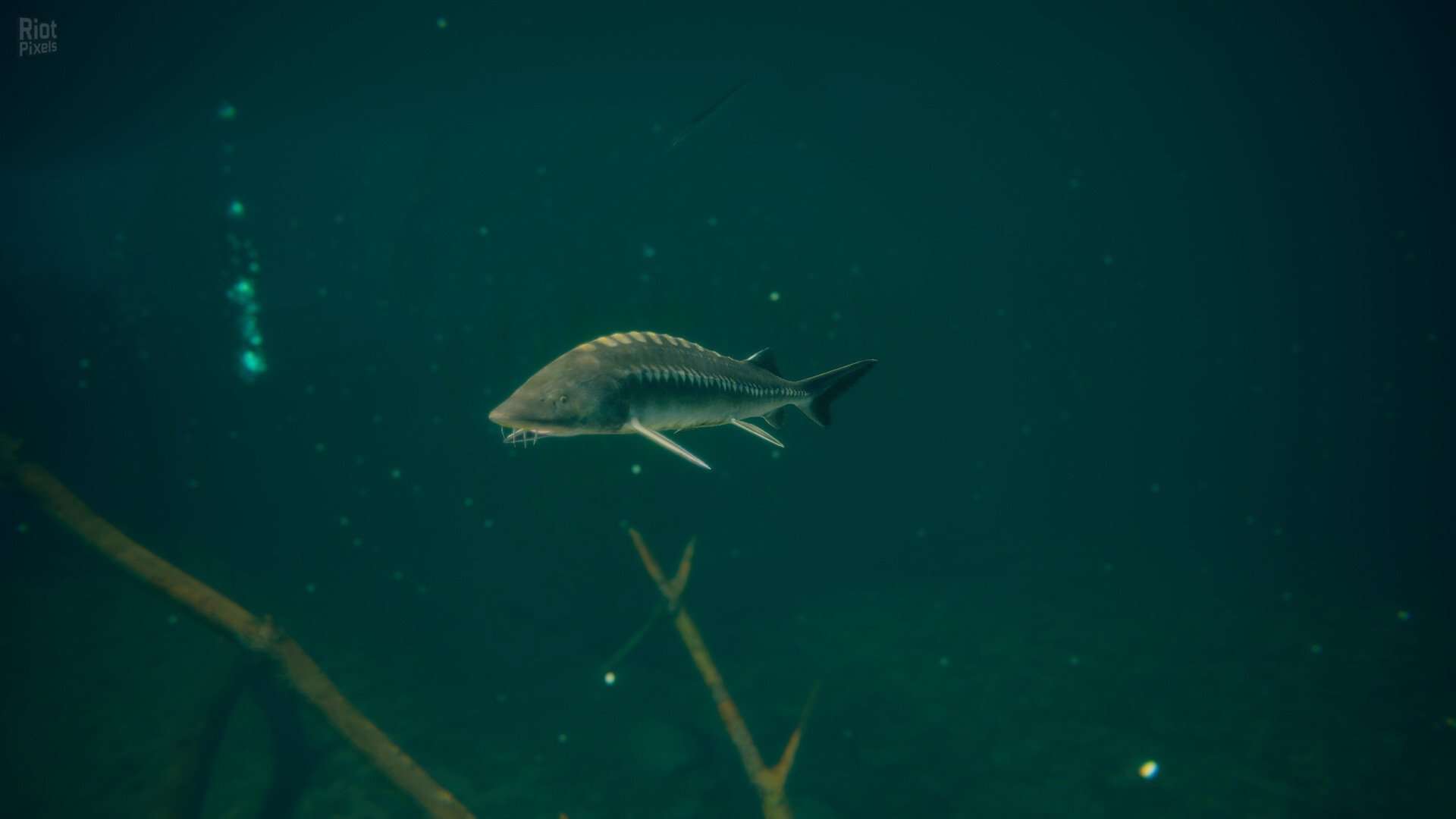 [7]-Ultimate Fishing Simulator 2 – v1.25.05.09.3975 Download