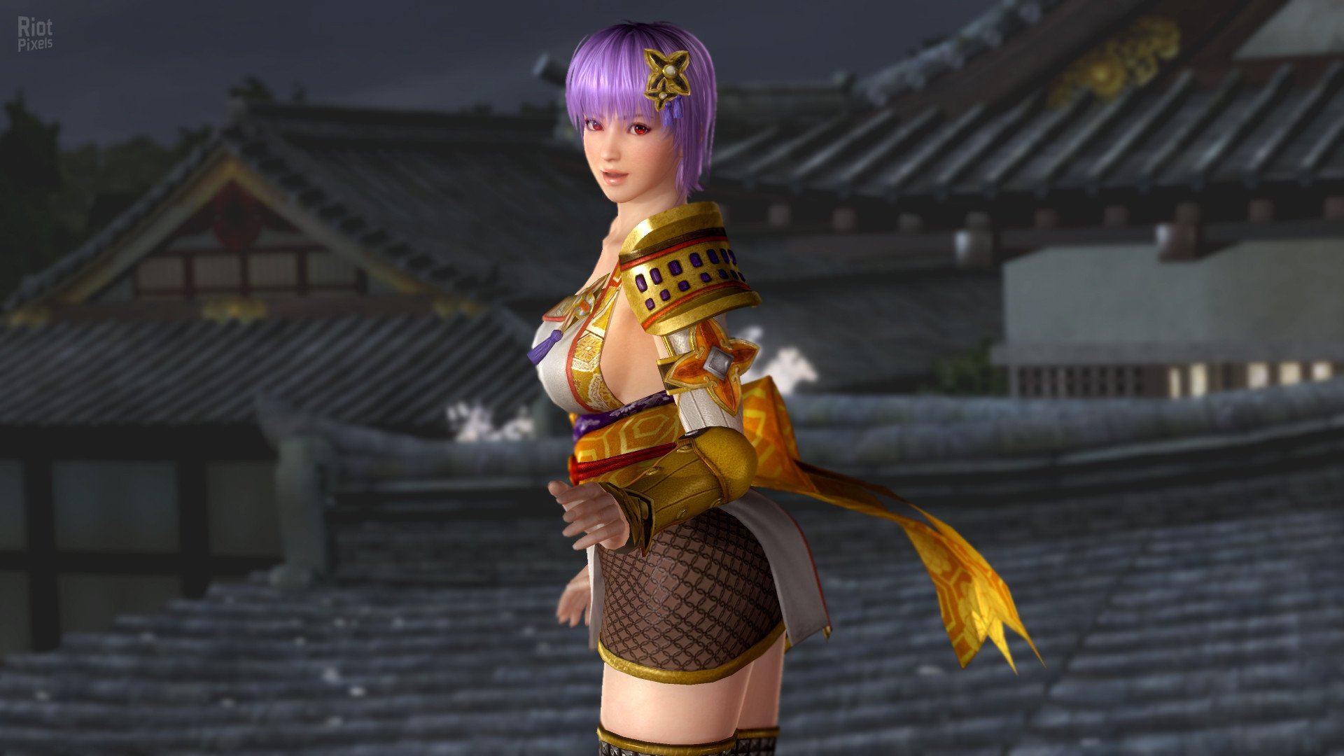 [5]-Dead or Alive 5: Last Round – v1.10C + All DLCs + Unlocker Download
