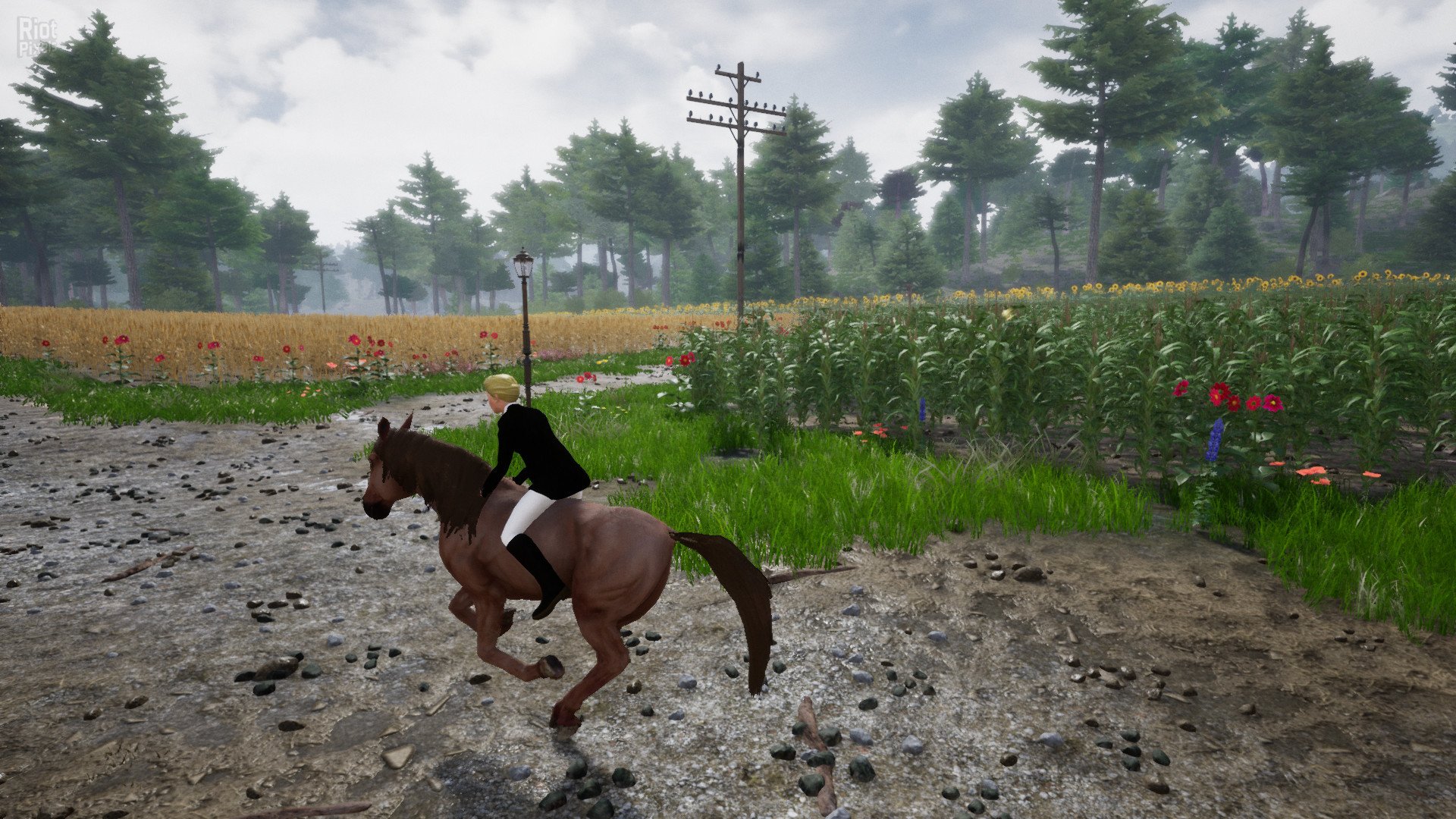 [4]-Horse Riding Deluxe 2 Download