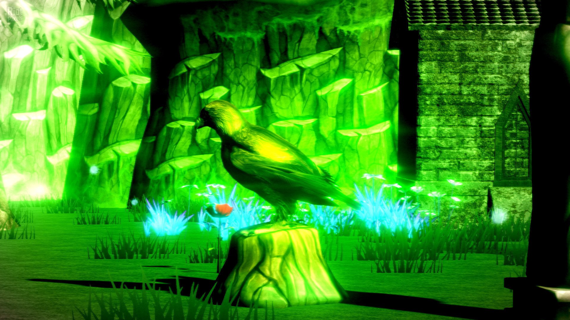 [8]-Kung Fu Jesus Download