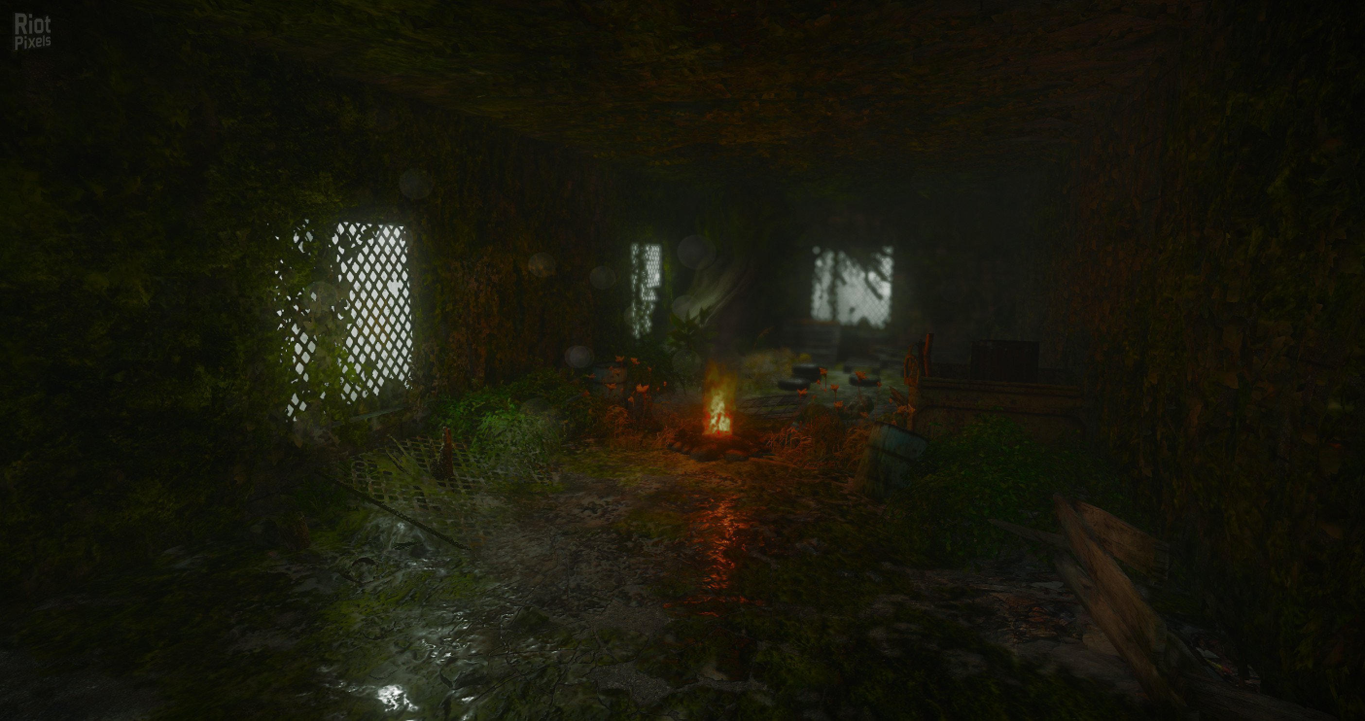 [9]-Investigator Download