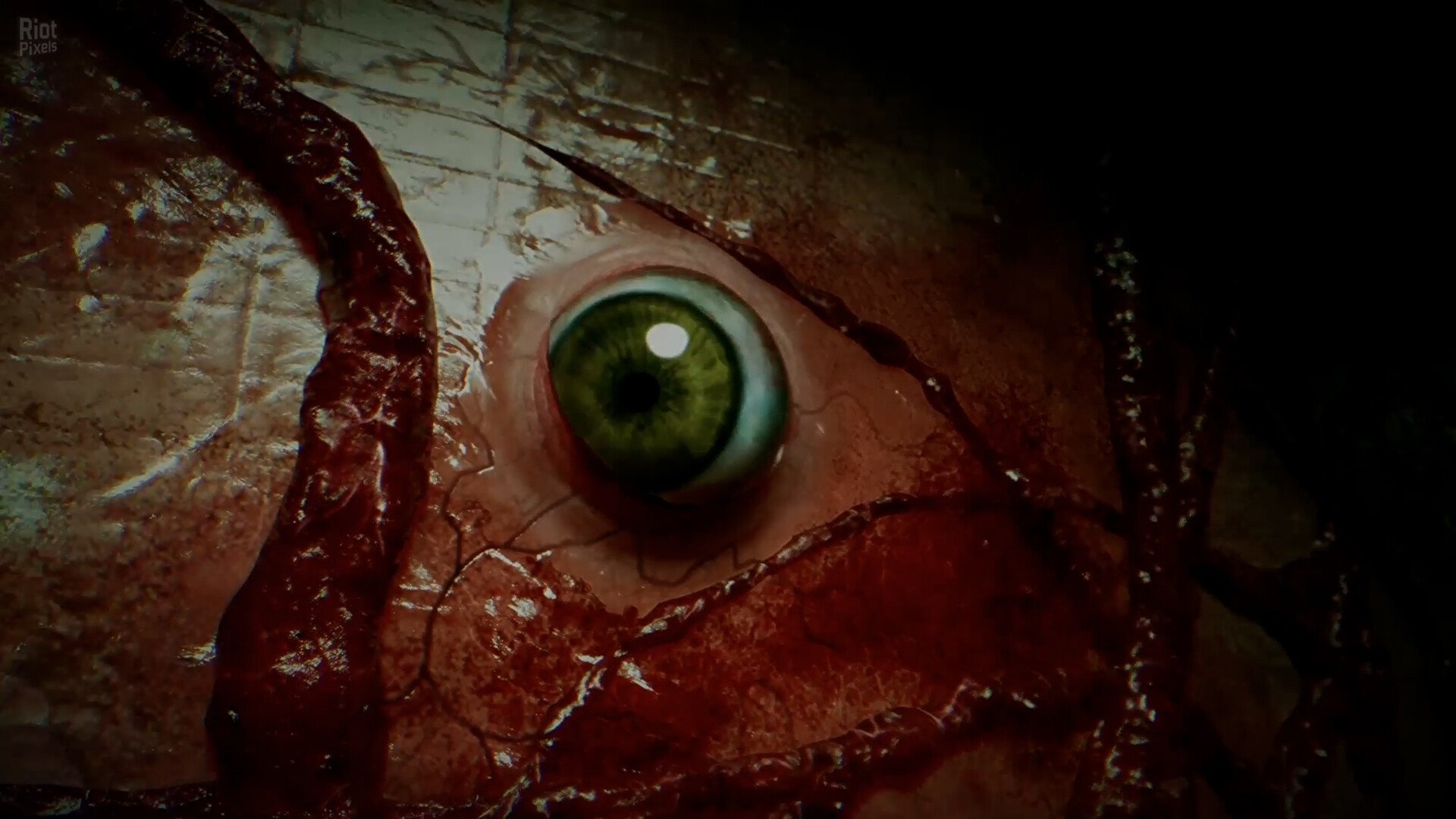 [8]-BrokenLore: DON’T WATCH Download