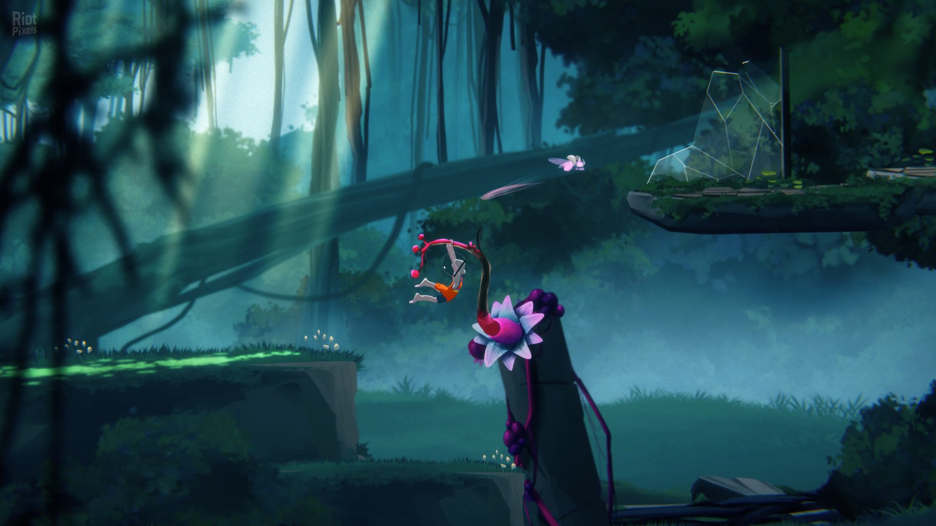 [6]-The Cub: Deluxe Edition + Bonus Soundtrack Download