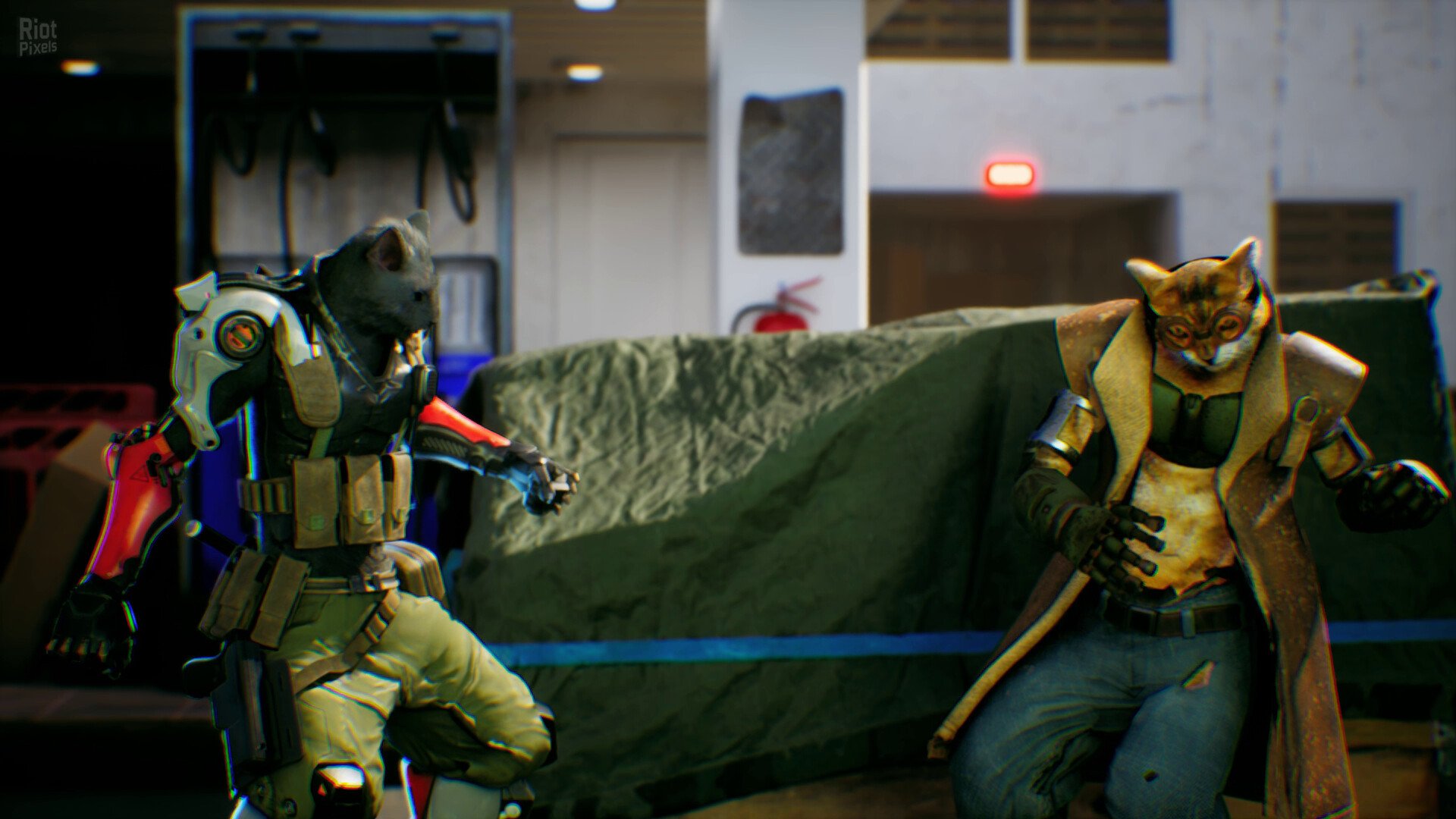 [14]-MindKatt: First Strike Download