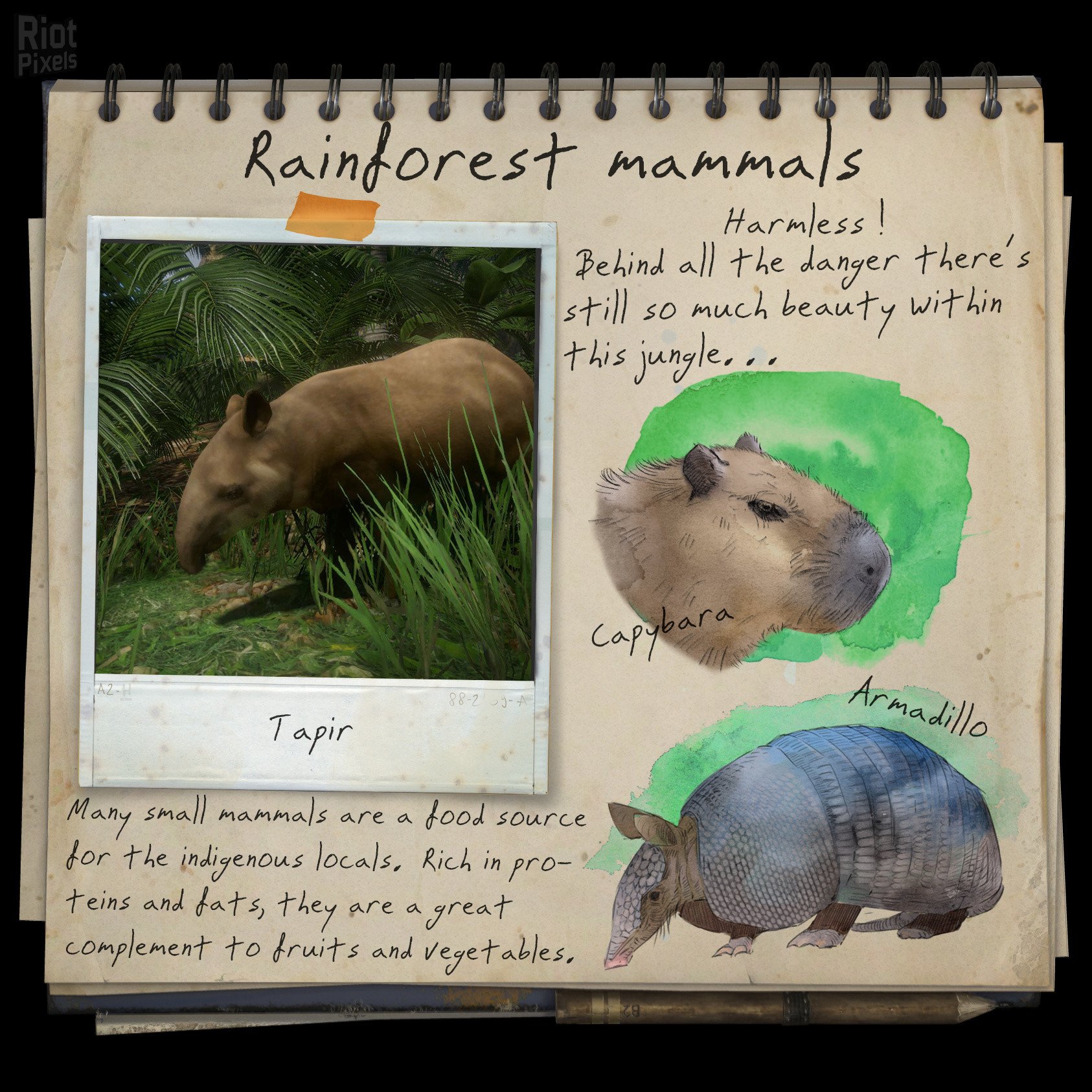 [18]-Green Hell – v2.2.0 build 31580 / v2.2.1 build 31671 Download