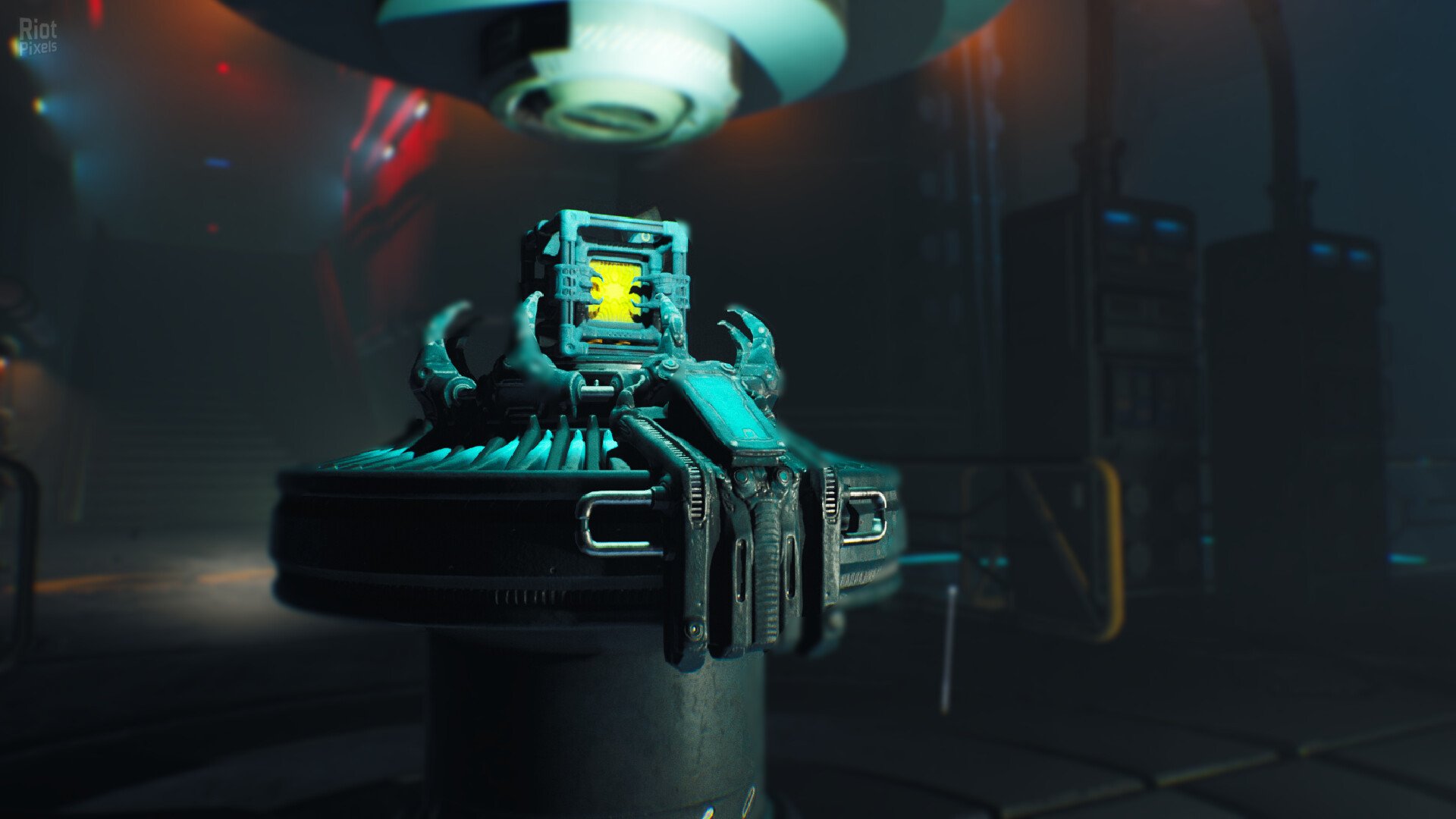 [11]-RIPOUT – v1.0:01 Download