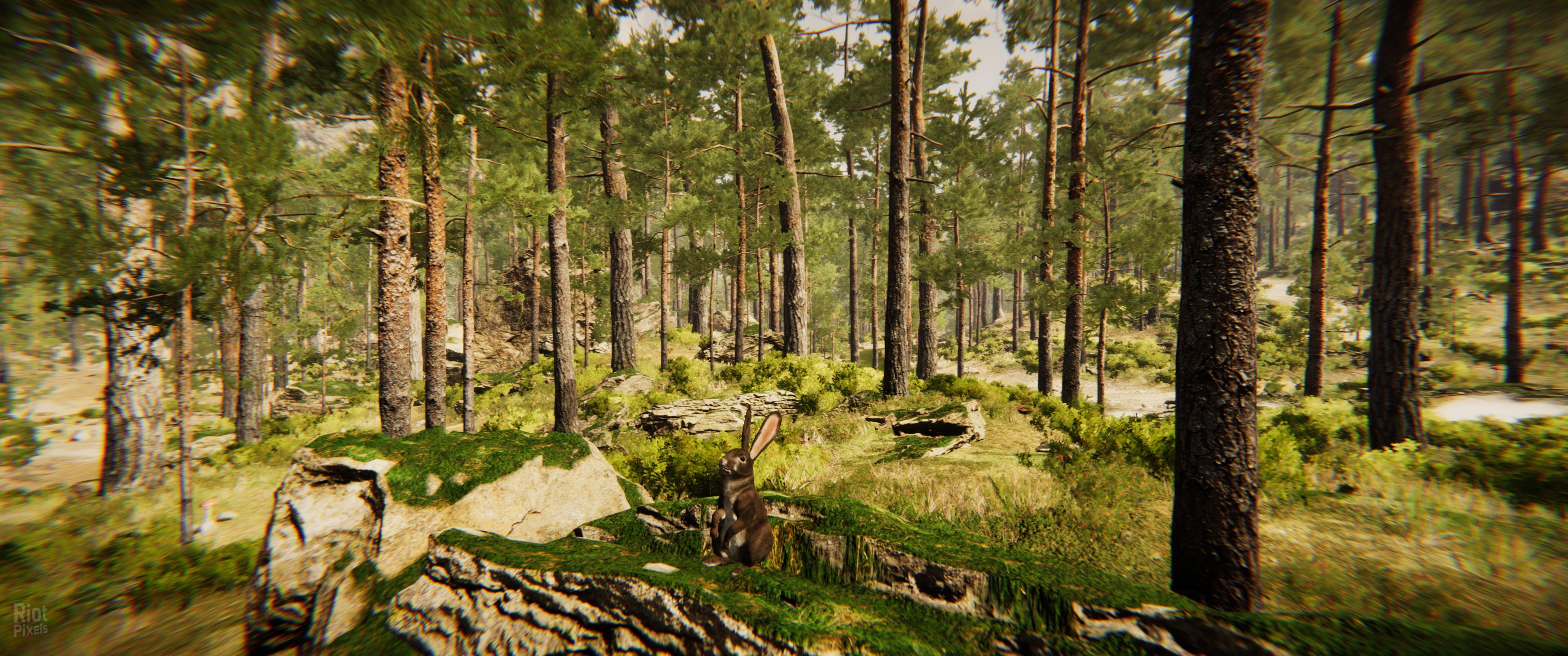 [12]-Animal Simulator Download