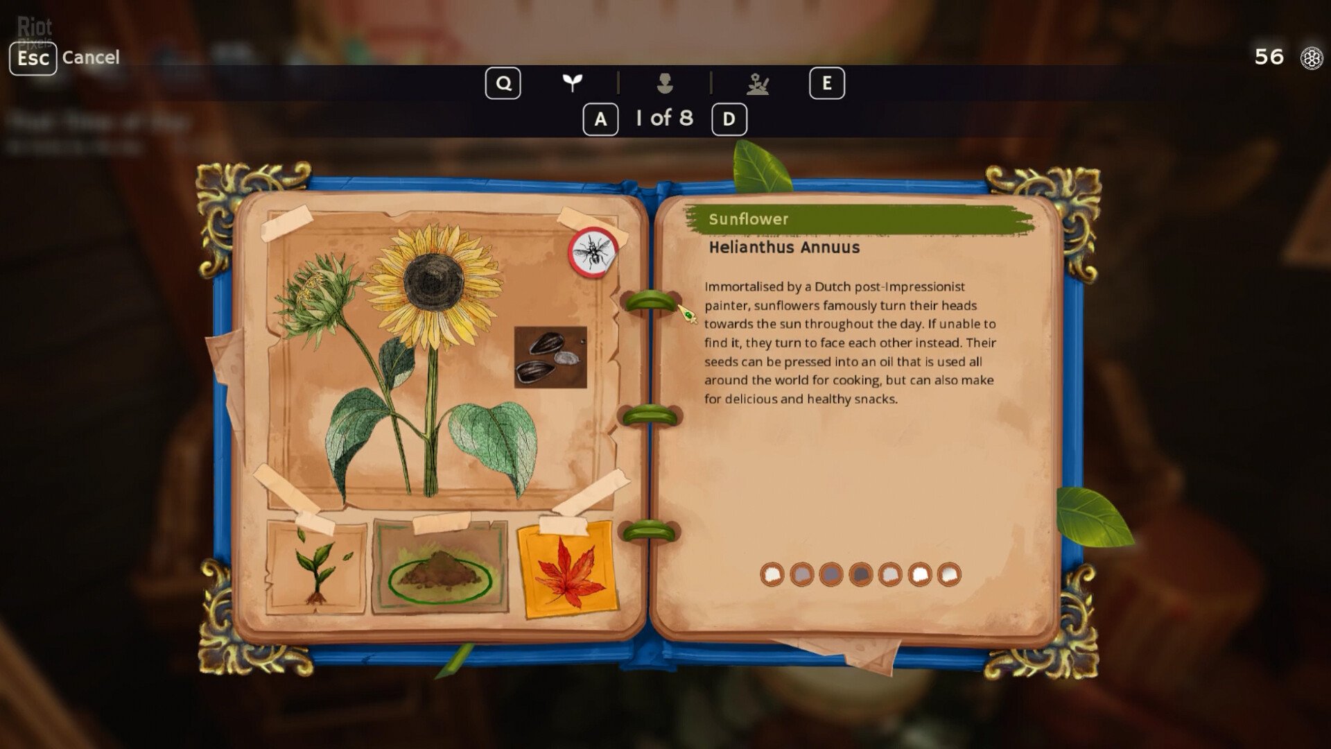 [5]-Garden Life: A Cozy Simulator – v1272@67558 + 2 DLCs Download