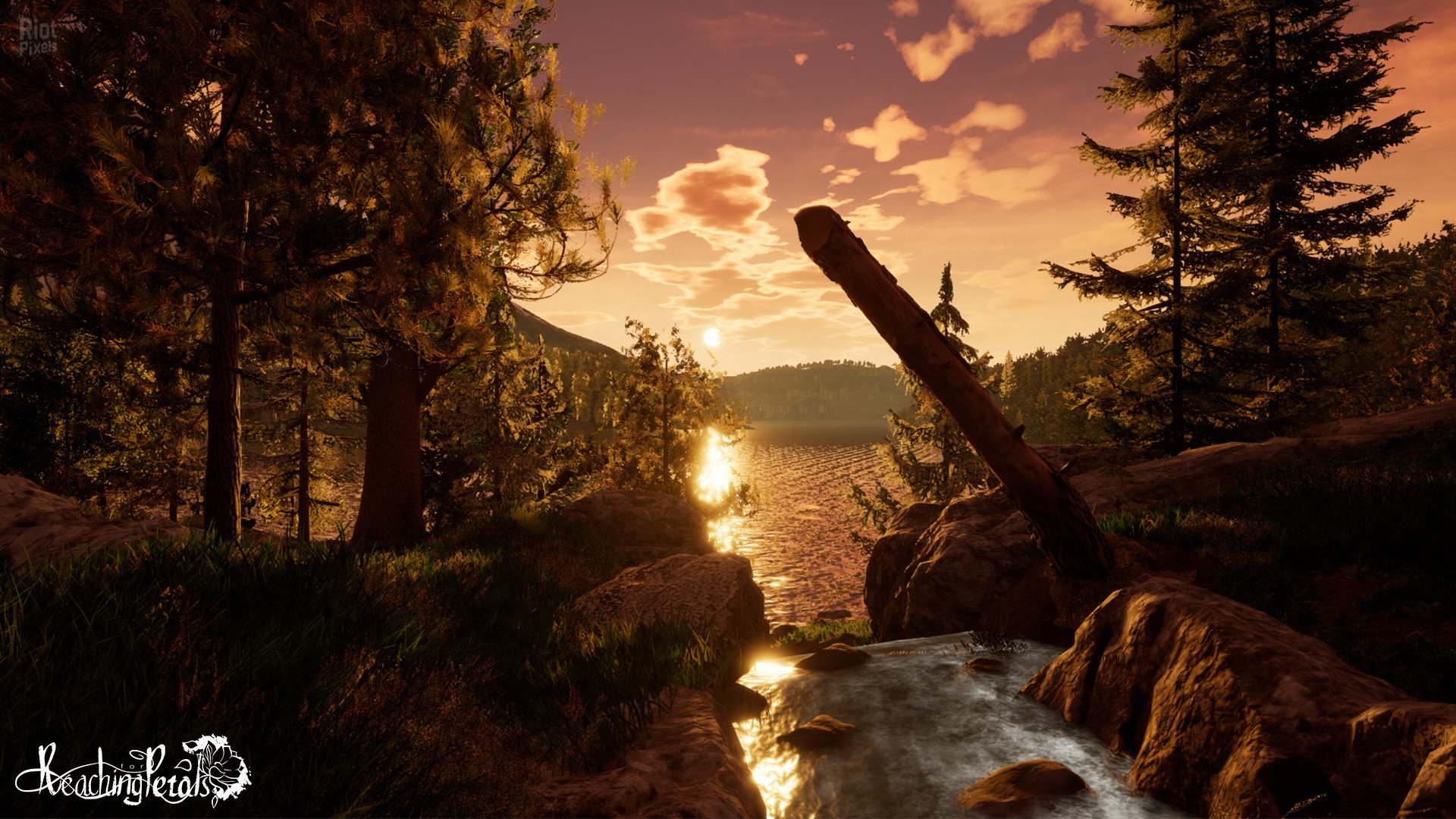 [8]-Reaching for Petals Download