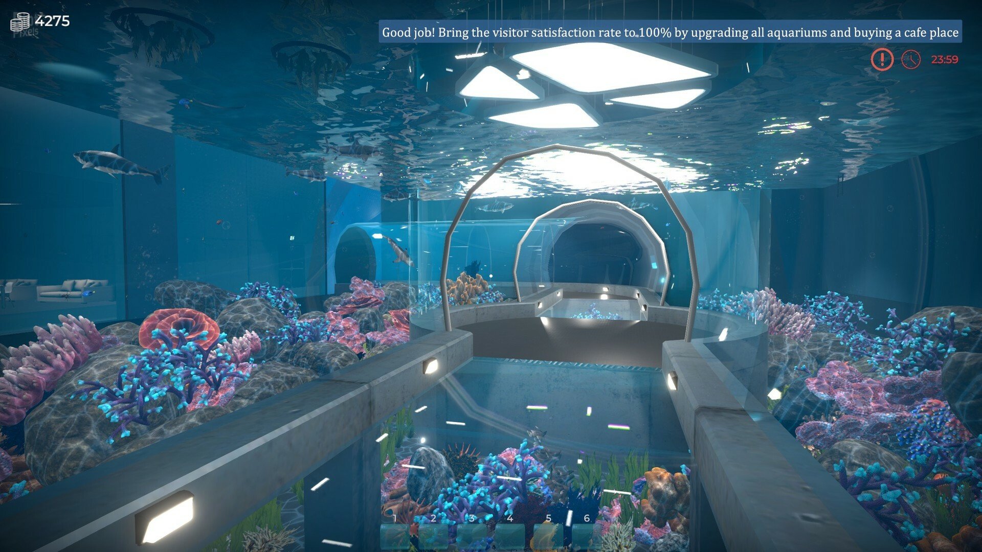 [10]-Aquarist: Full Experience Bundle – Build 18222695 + 3 DLCs Download