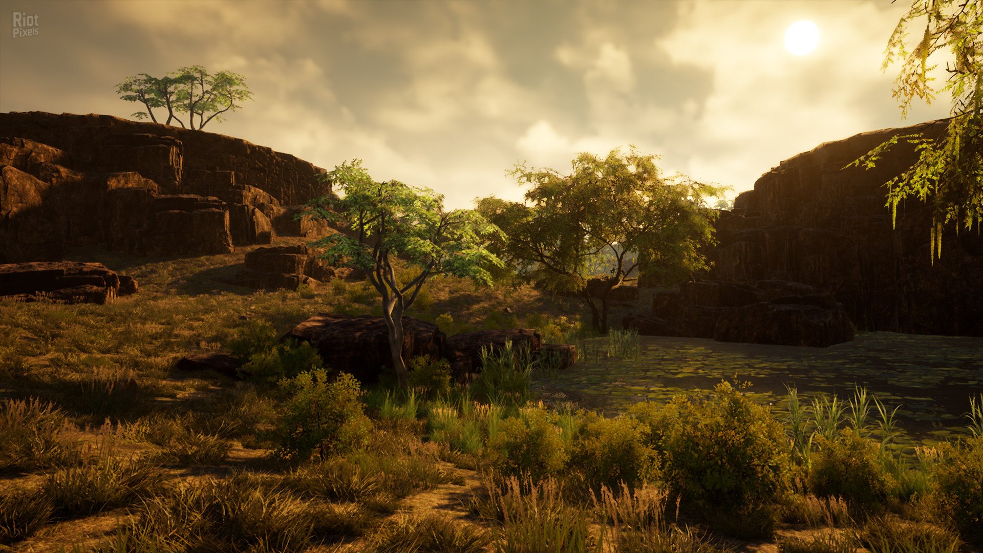 [11]-Straya Download