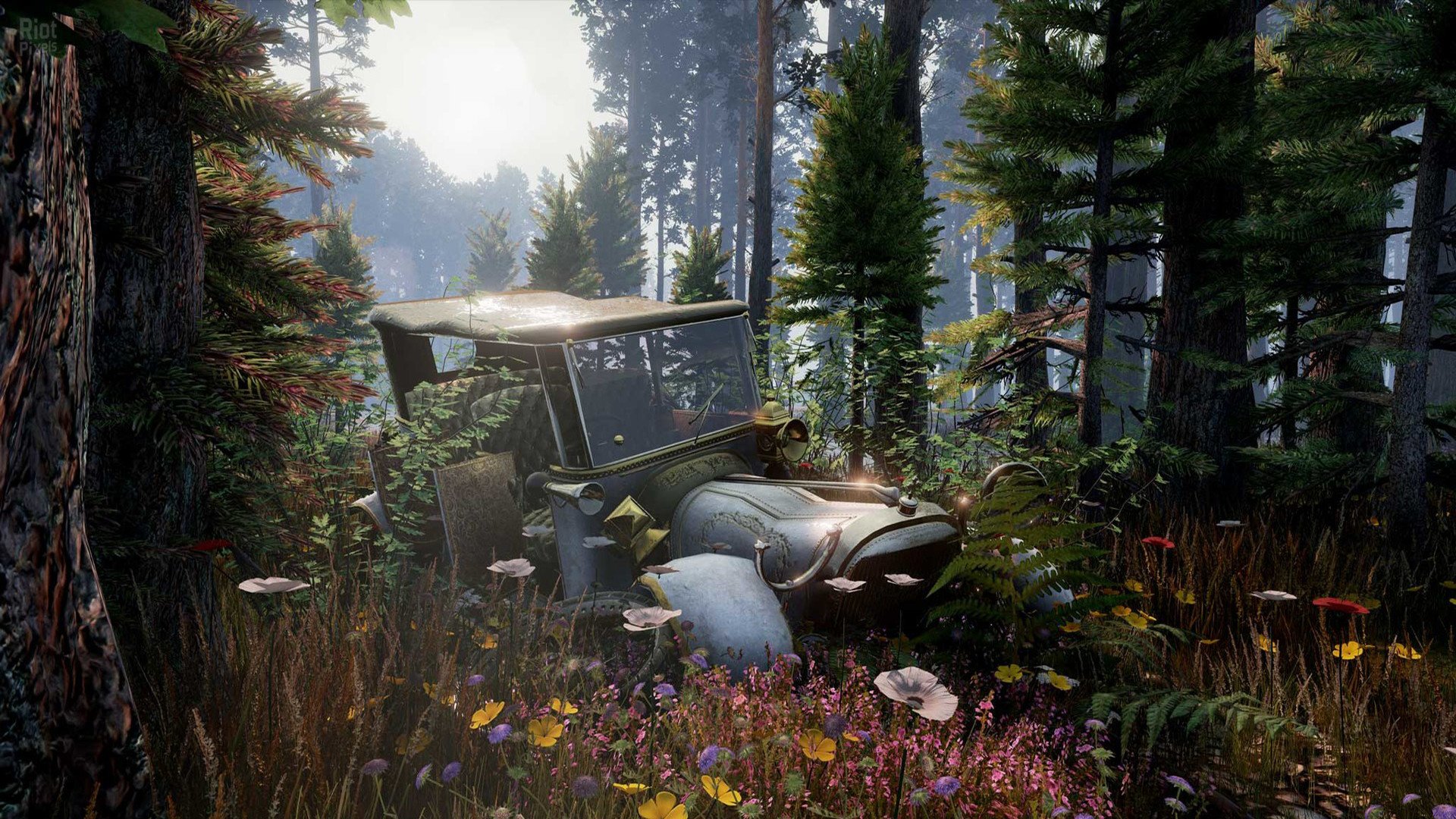 [5]-Gray Dawn Download