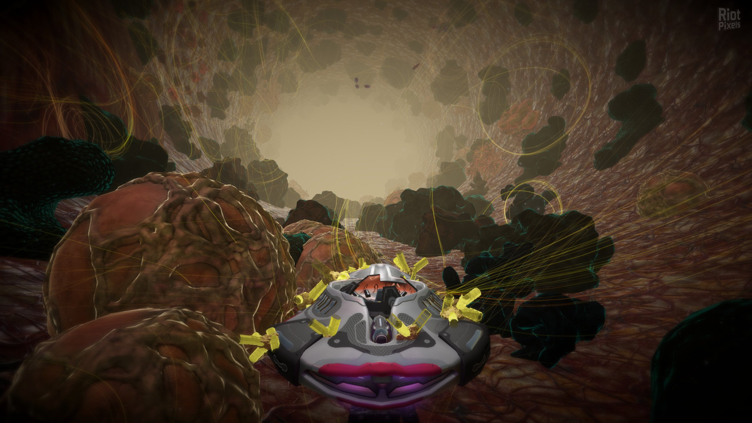 [5]-Insiders – v1.2021-10-27 A Download