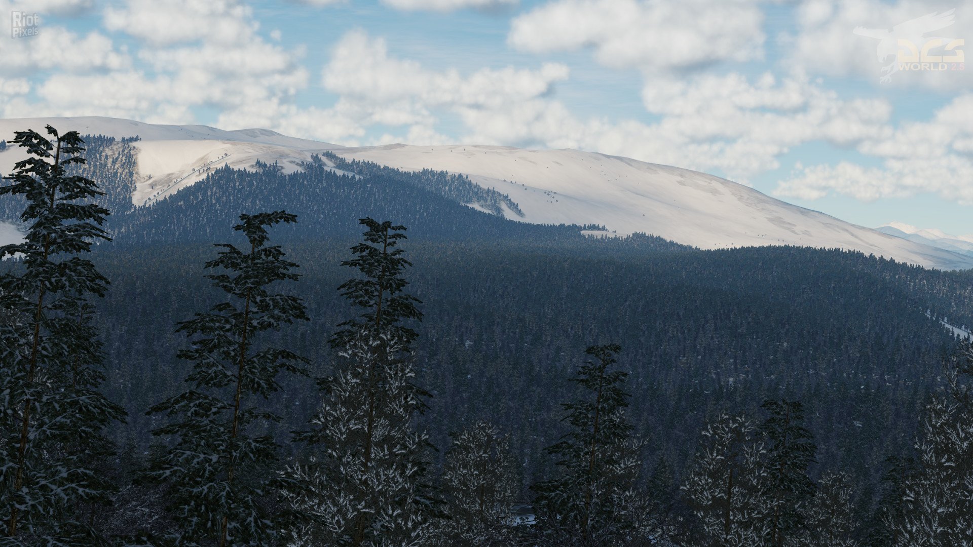 [15]-DCS World – v2.5.5.41371 Stable + All Modules + Bonus Modules Download