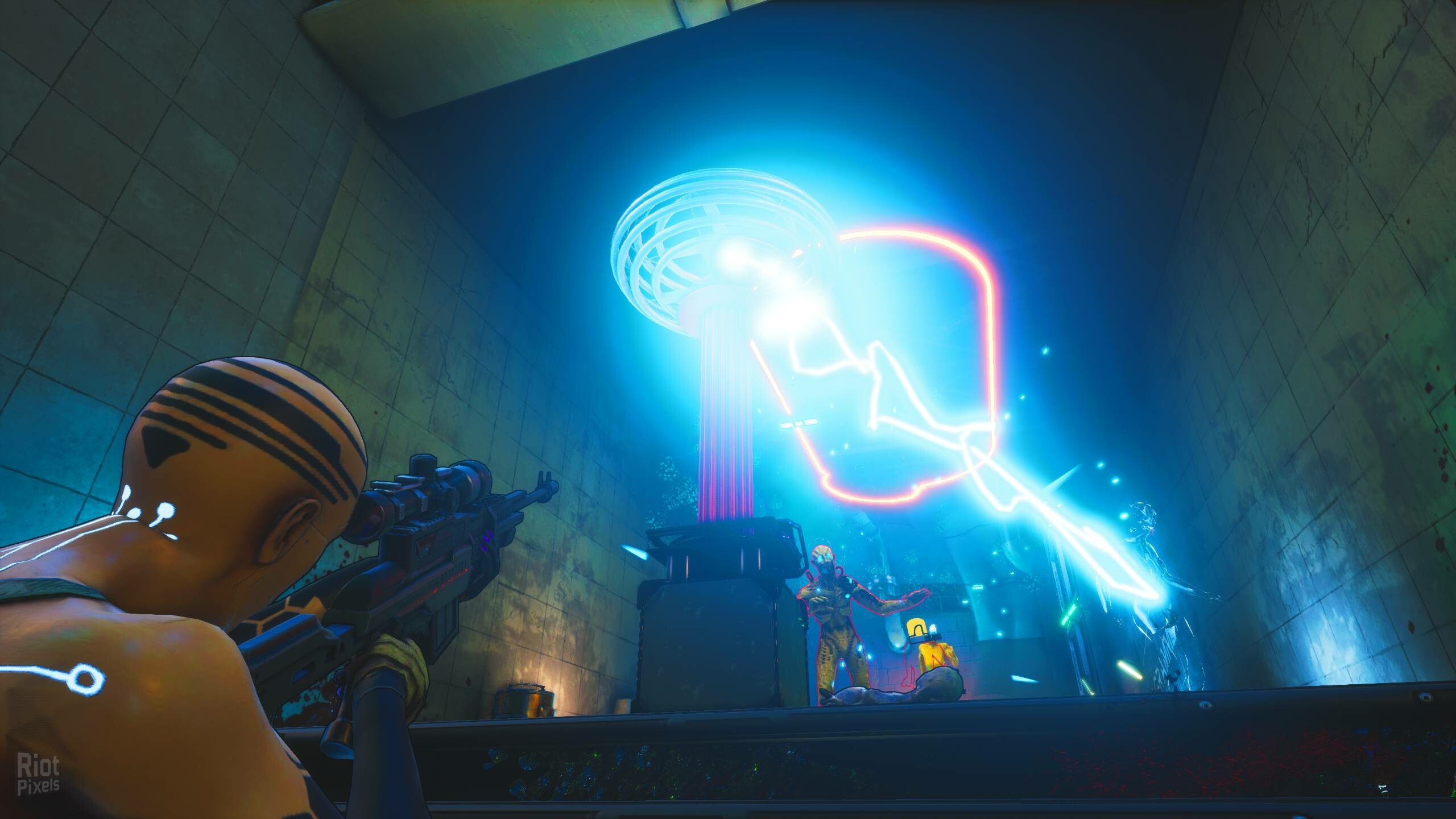 [5]-Zedfest – v1.0 (Release) Download