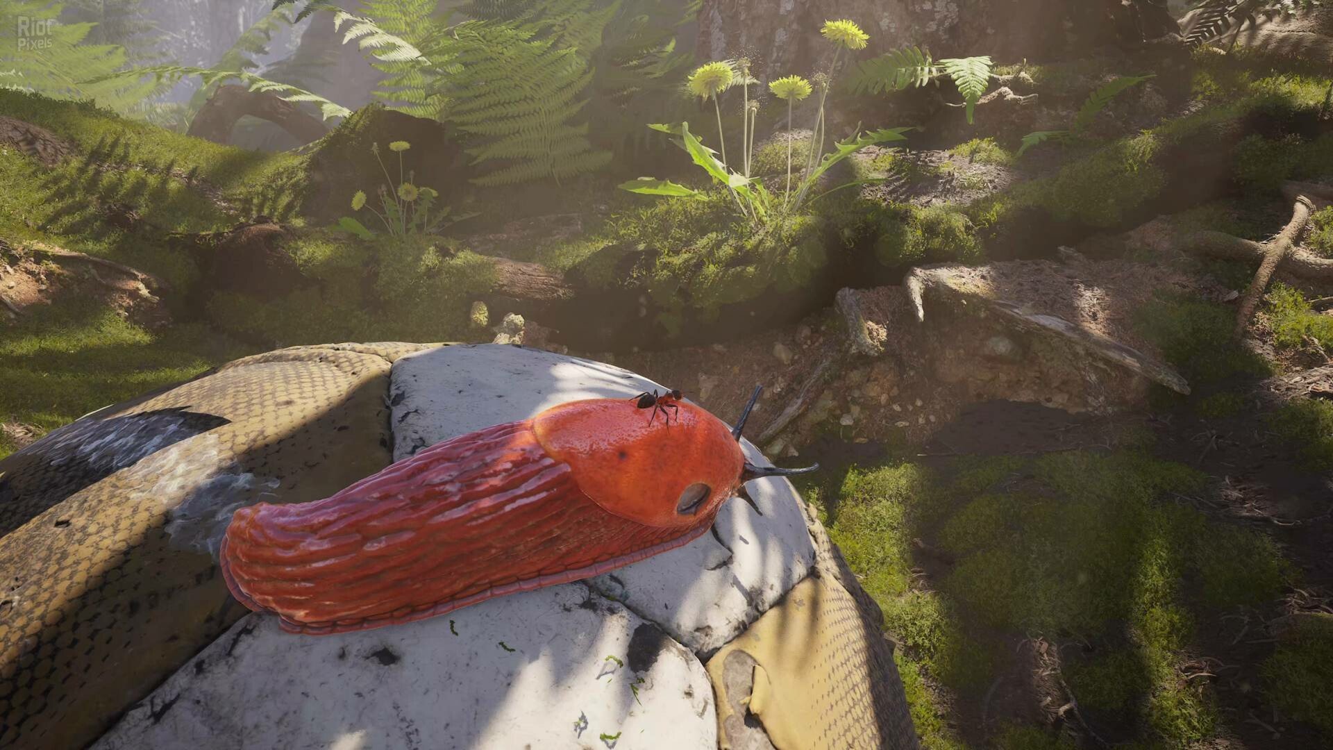 [6]-Empire of the Ants: Digital Deluxe Edition – v1.02.19732 + Bonus Content + Windows 7 Fix Download