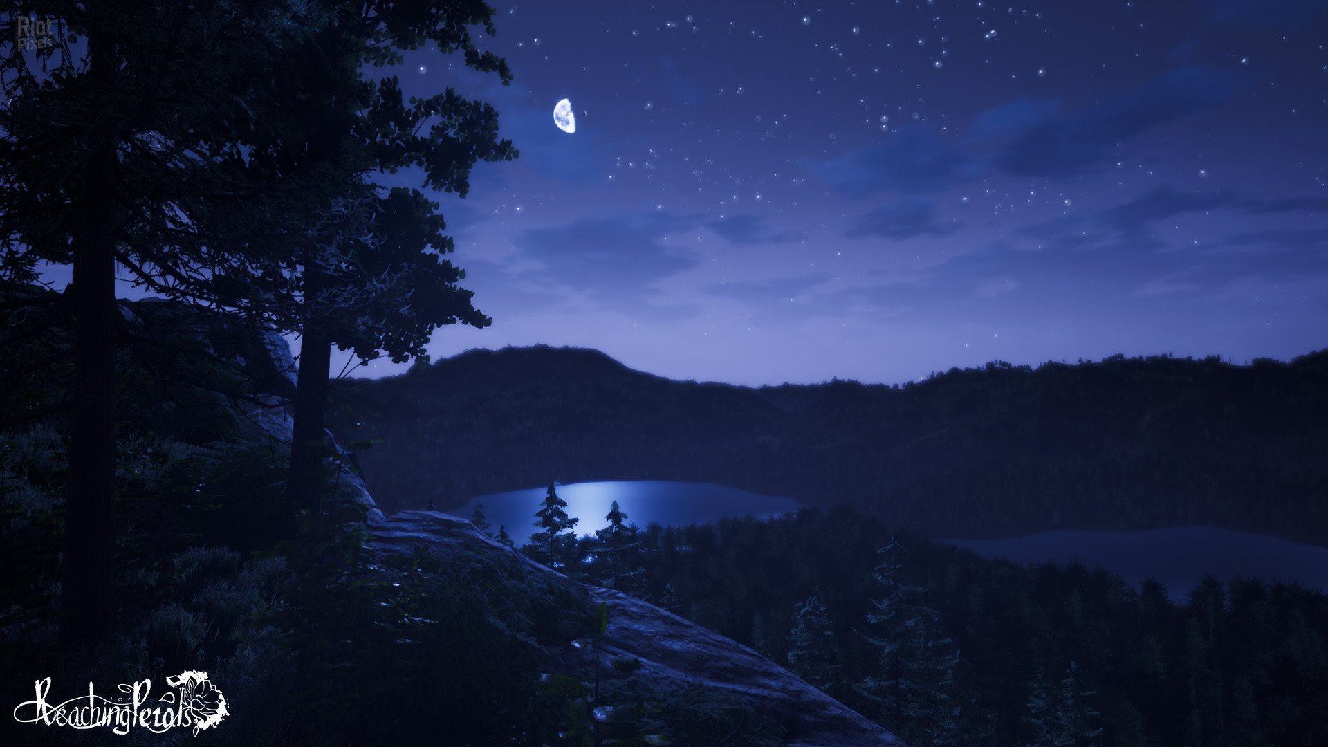 [5]-Reaching for Petals Download