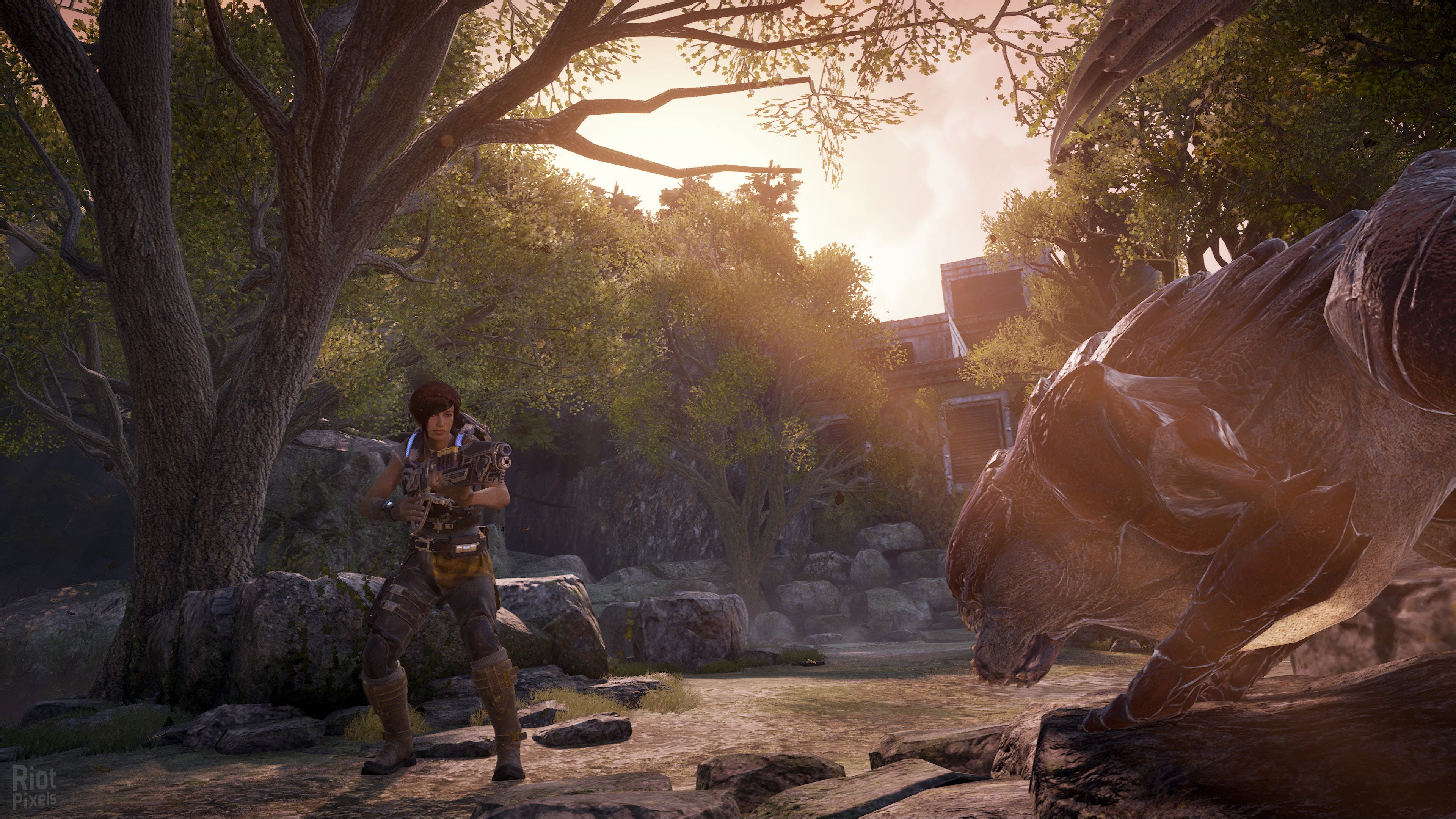 [8]-Gears of War 4 + Multiplayer with Bots Download