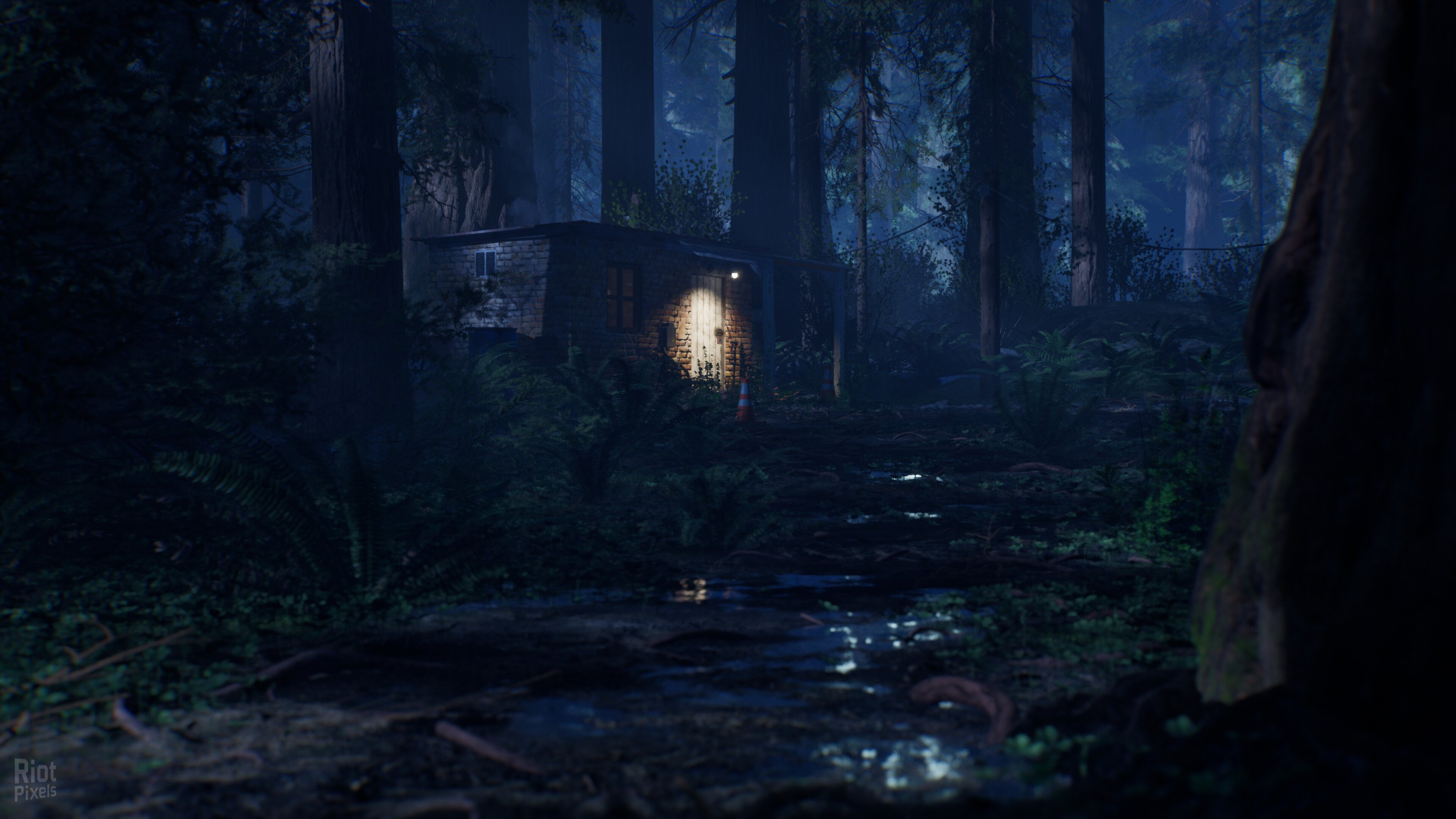 [6]-Who is Abby – v1.0.0 + Windows 7 Fix Download