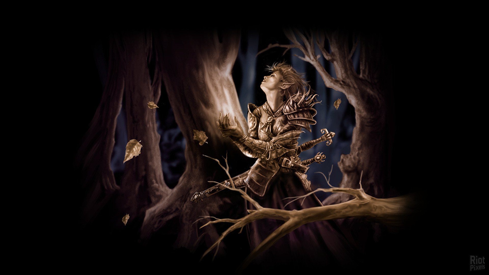 [23]-Neverwinter Nights: Enhanced Edition – Complete Adventures, v89.8193.37-14 + 8 DLCs Download