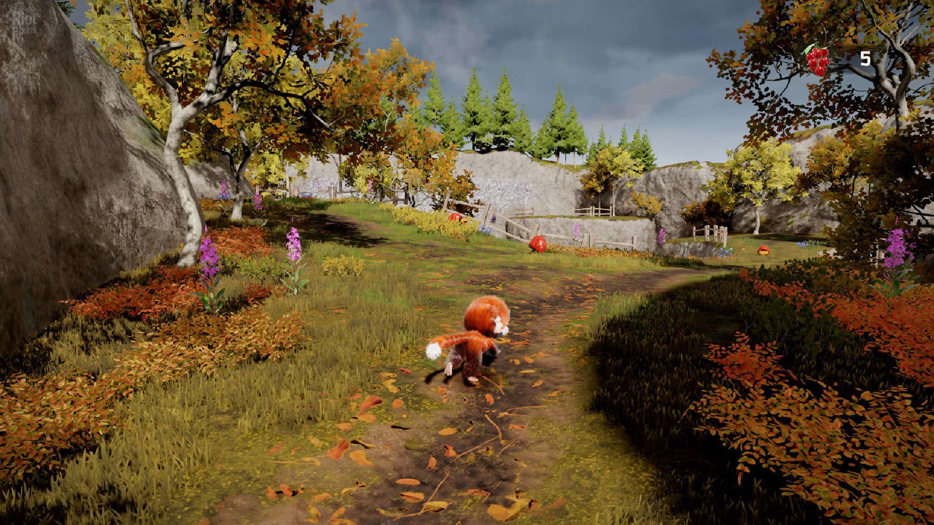 [9]-Tamarin Download