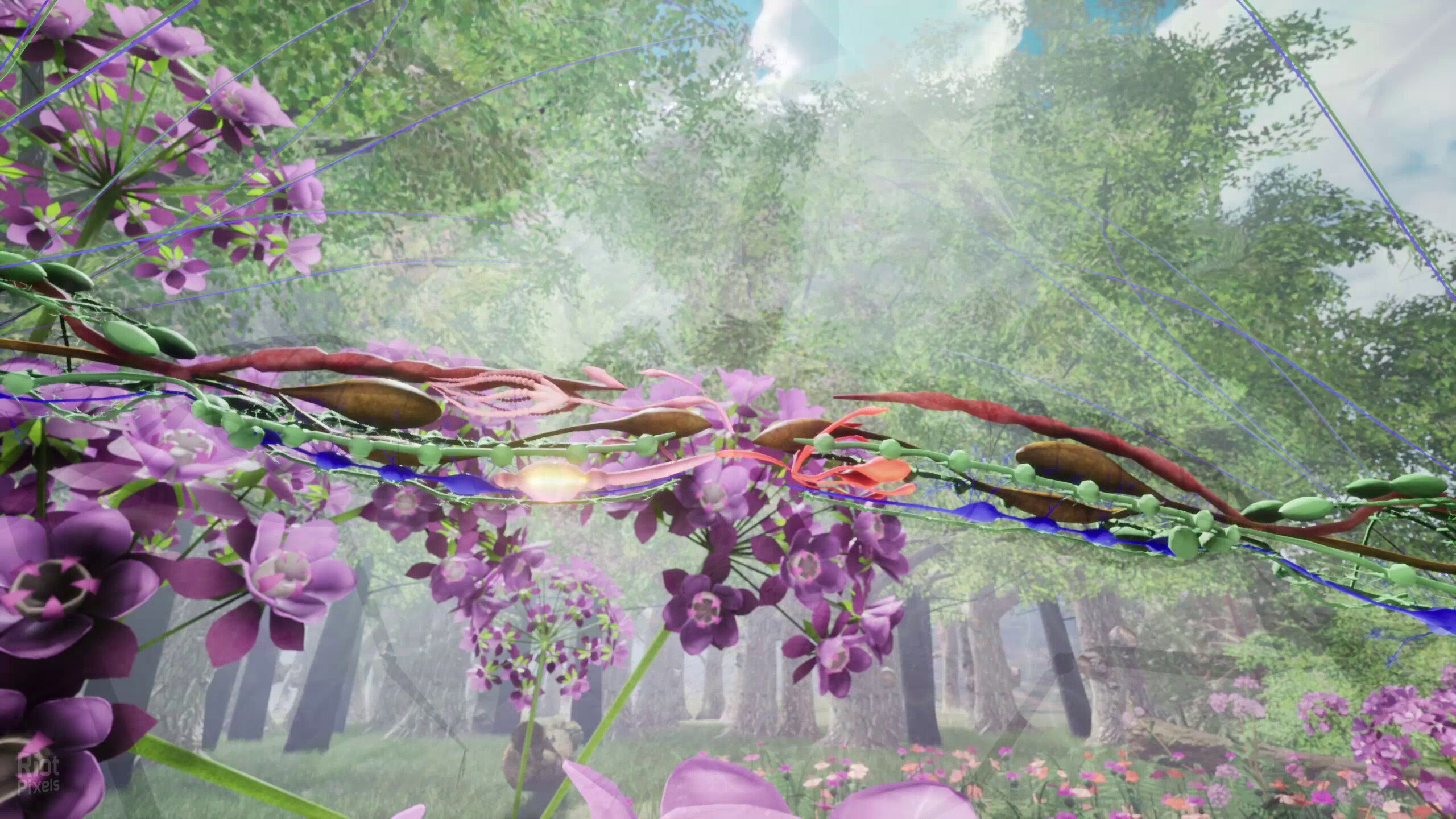 [11]-Nature & Life: Drunk On Nectar + Bonus Soundtrack Download