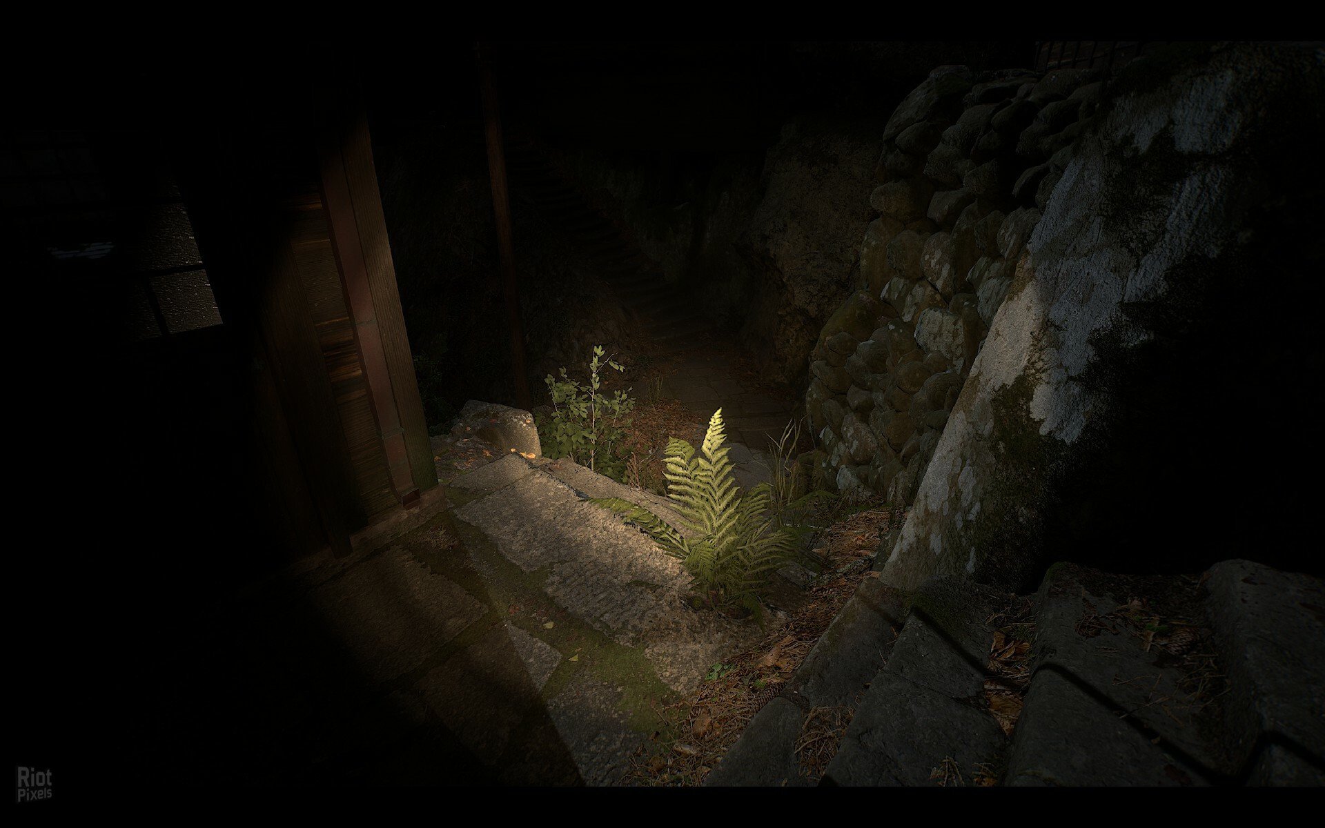 [4]-NARIBIKIMURA Download