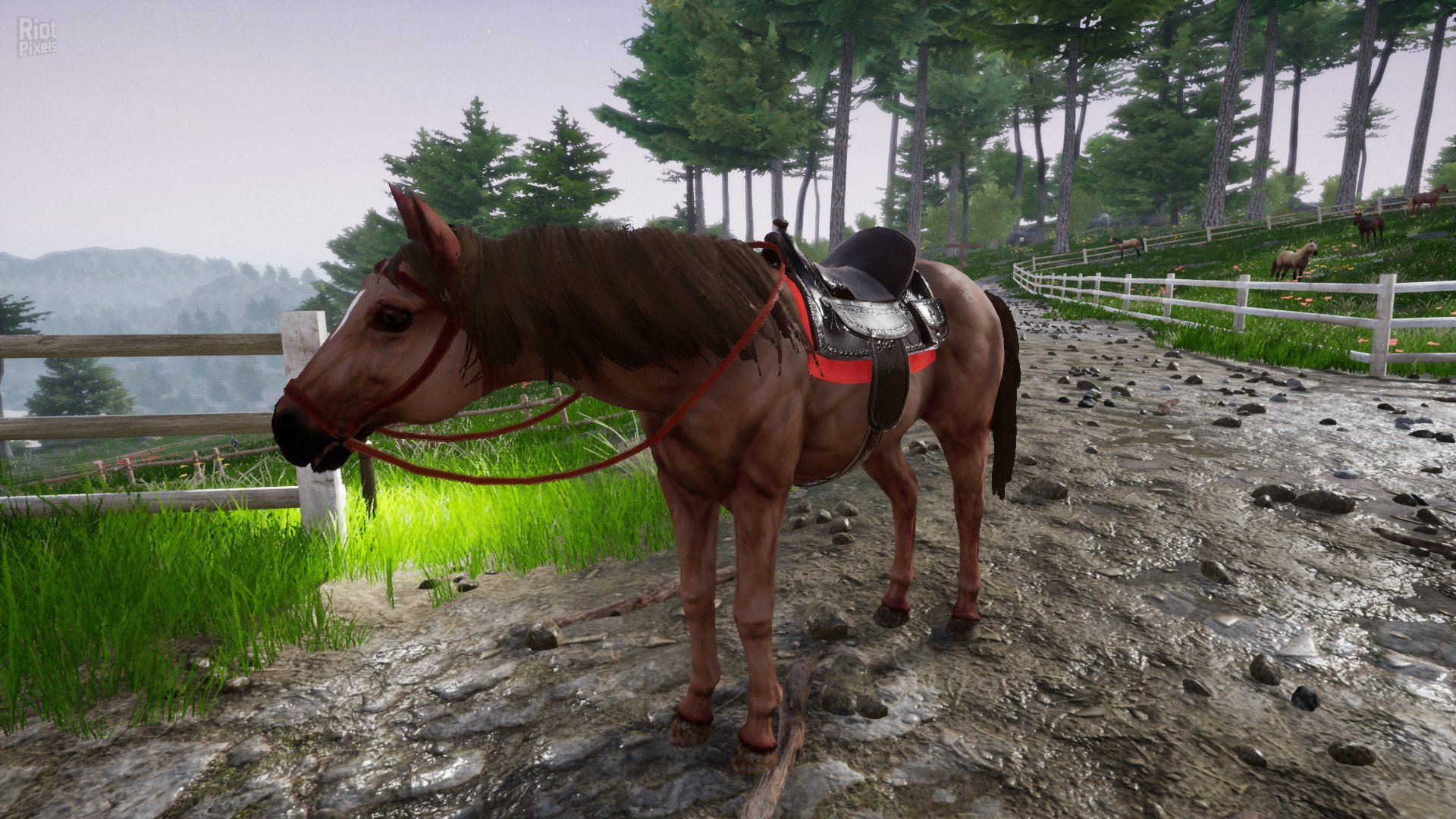 [13]-Horse Riding Deluxe 2 Download
