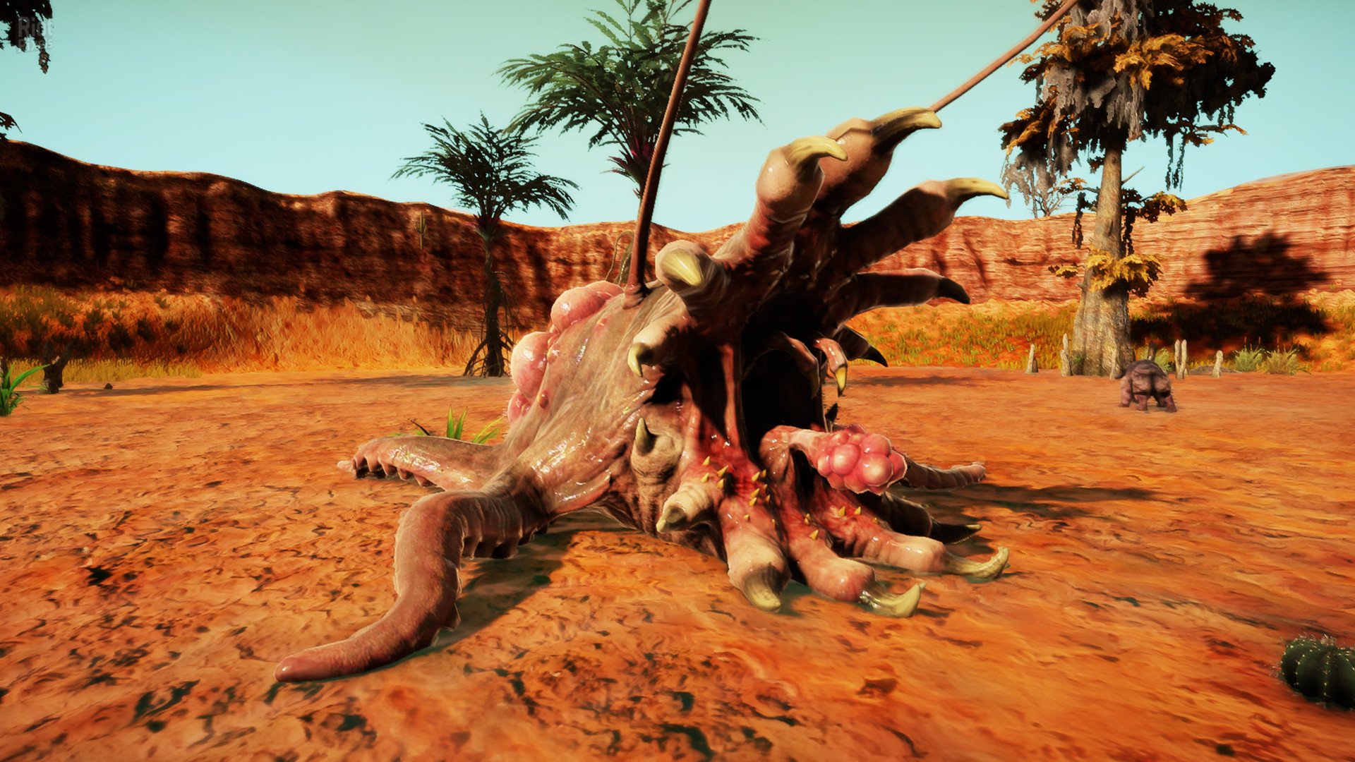 [14]-Animallica Download