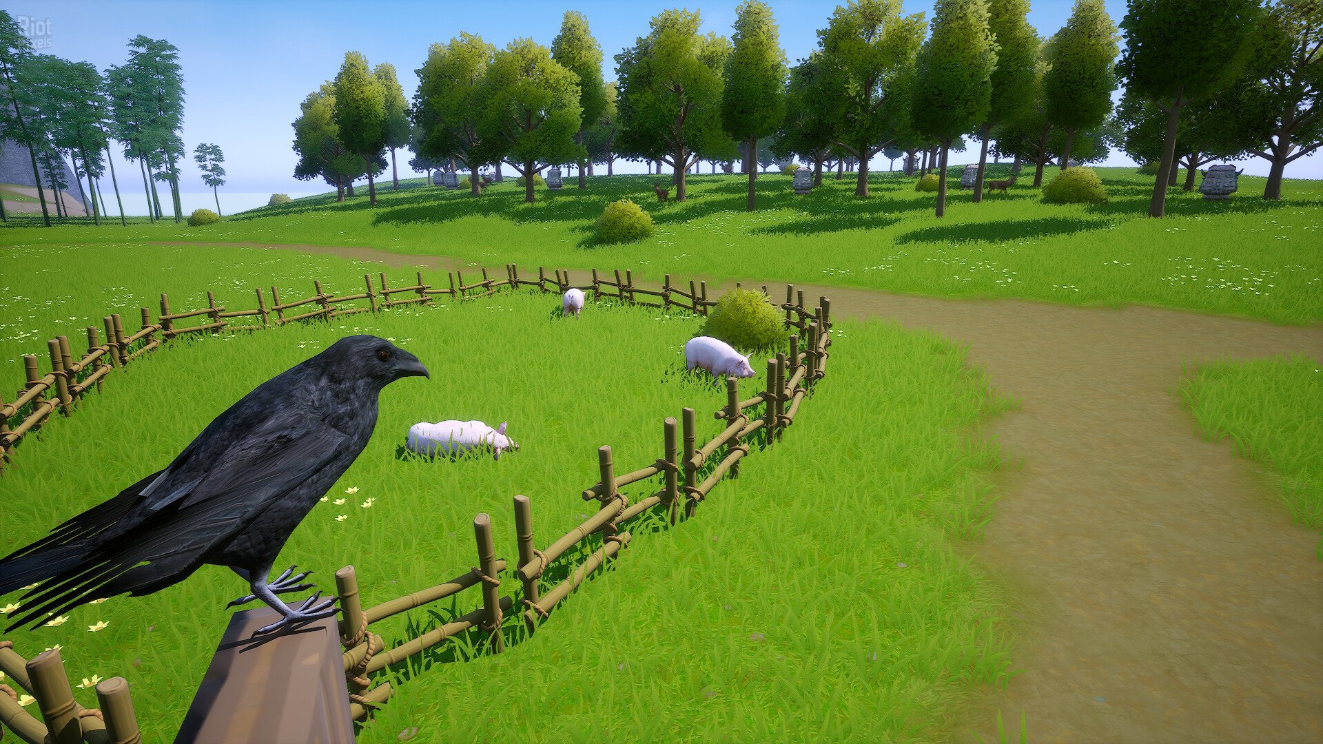 [16]-Saga Cube Download