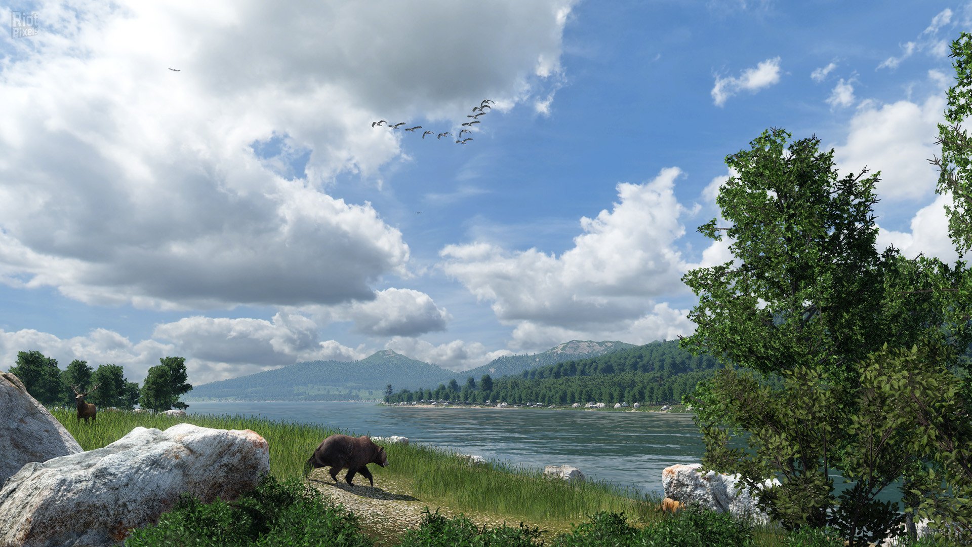 [13]-Transport Fever 2: Deluxe Edition – Build 35732 + 2 DLCs Download