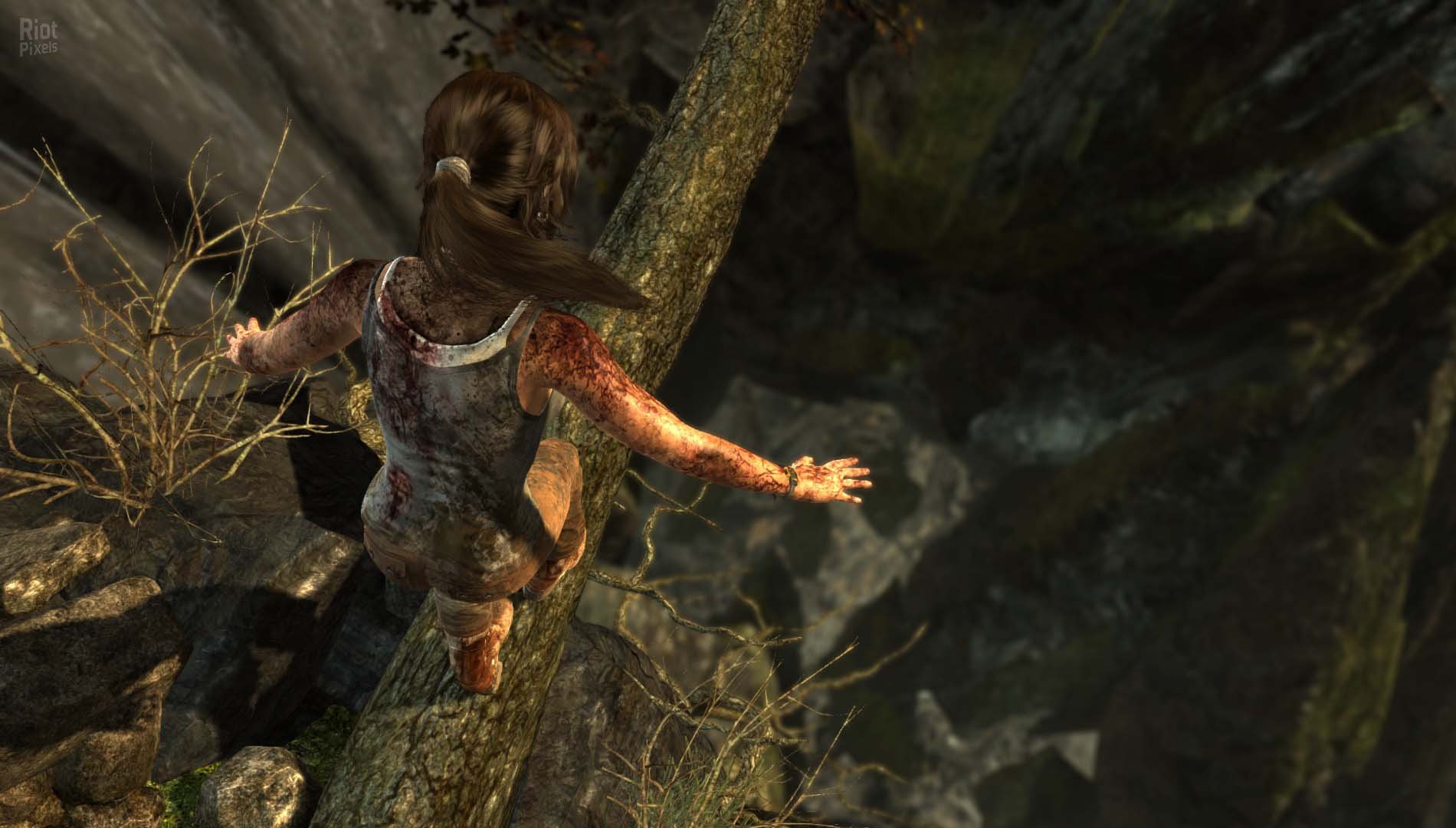 [11]-Tomb Raider: Definitive Edition – v1.01.0.0 + All DLCs Download