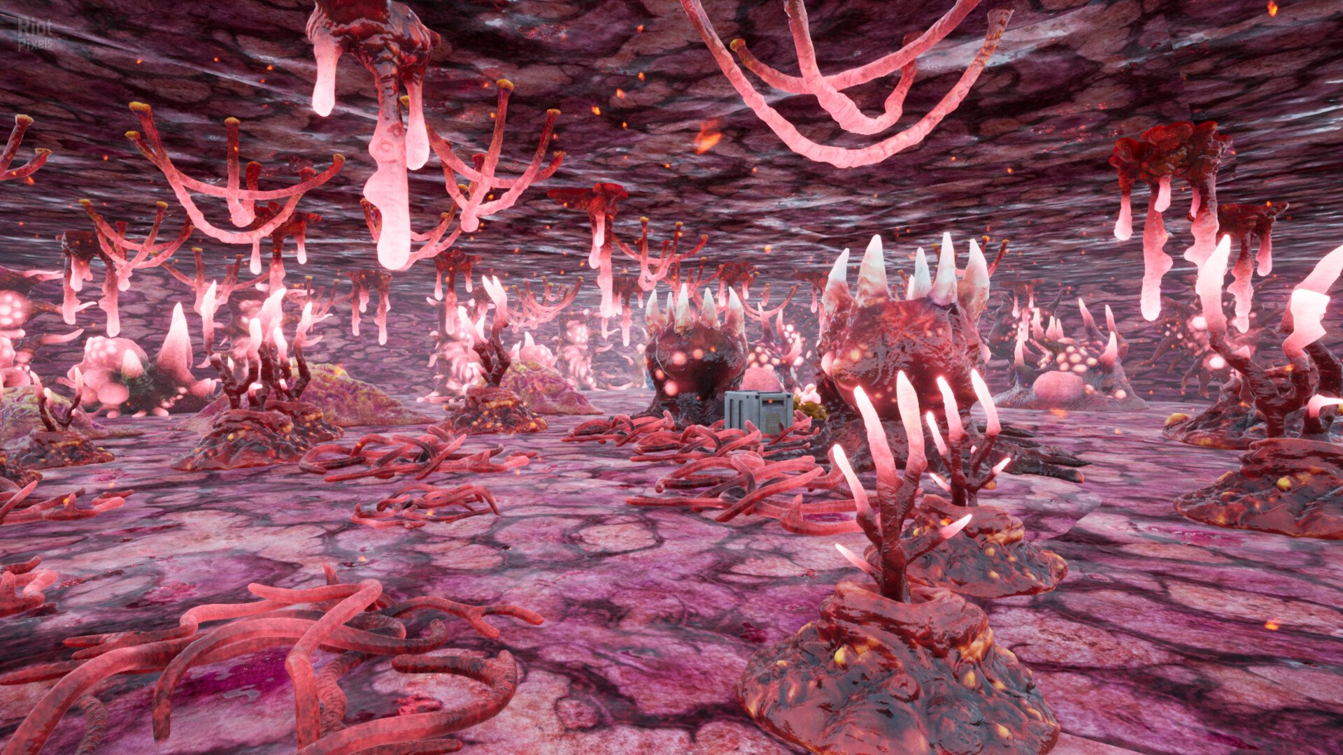 [4]-Surviving Ceres – v1.1b Download