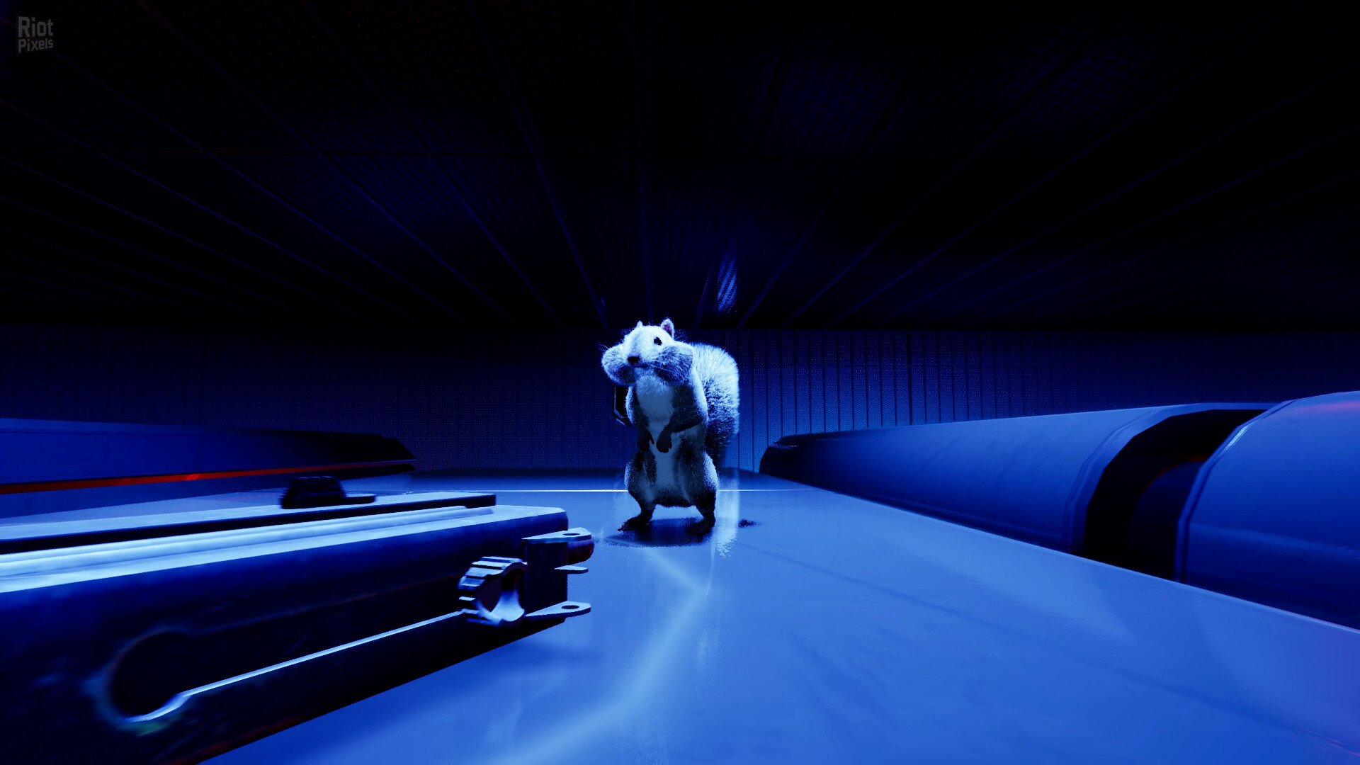 [14]-Squirrel with a Gun – v1.5.10.0 Download