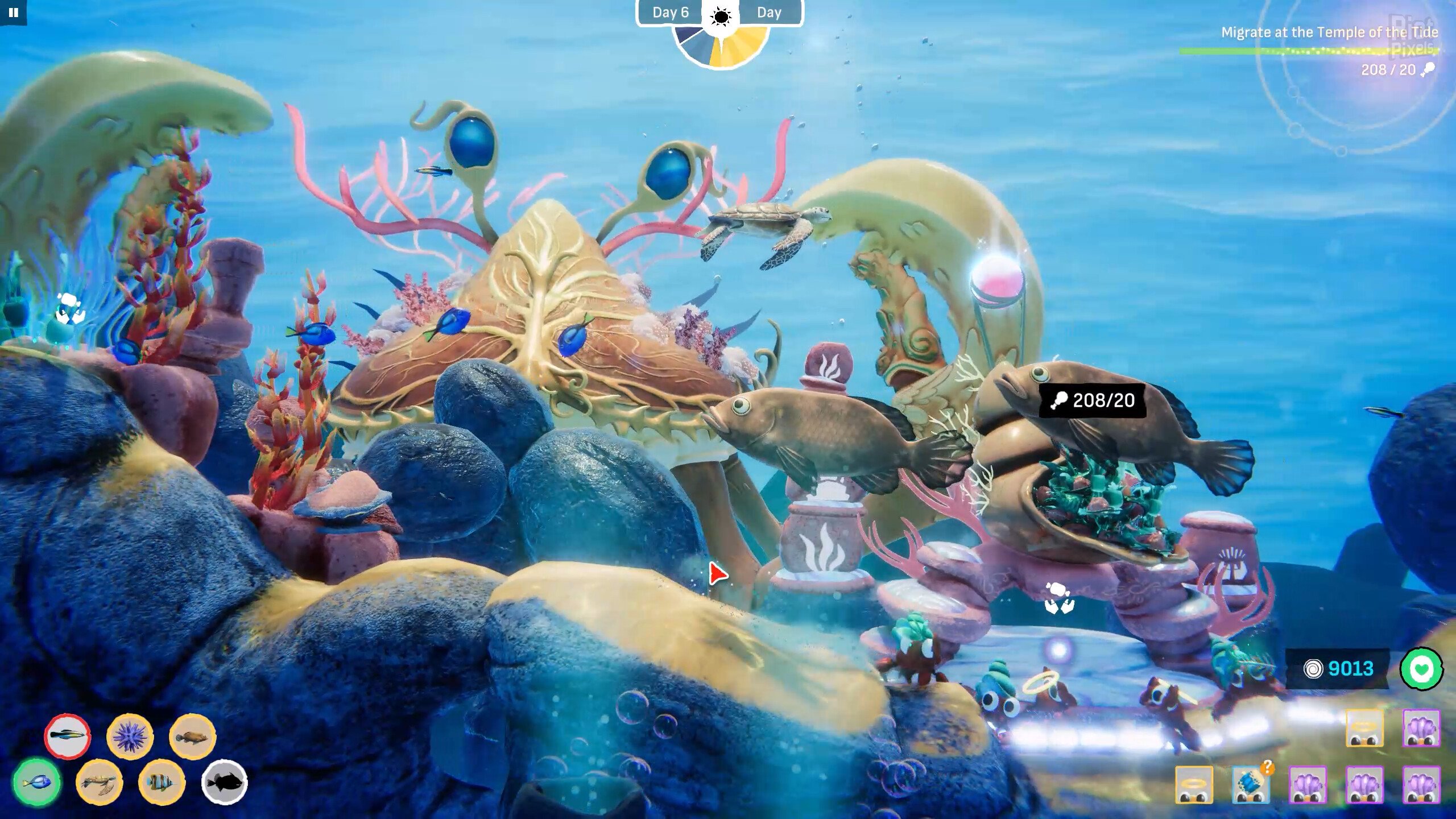 [9]-Crab God: Supporter Edition, v1.0.24 + Bonus Content Download