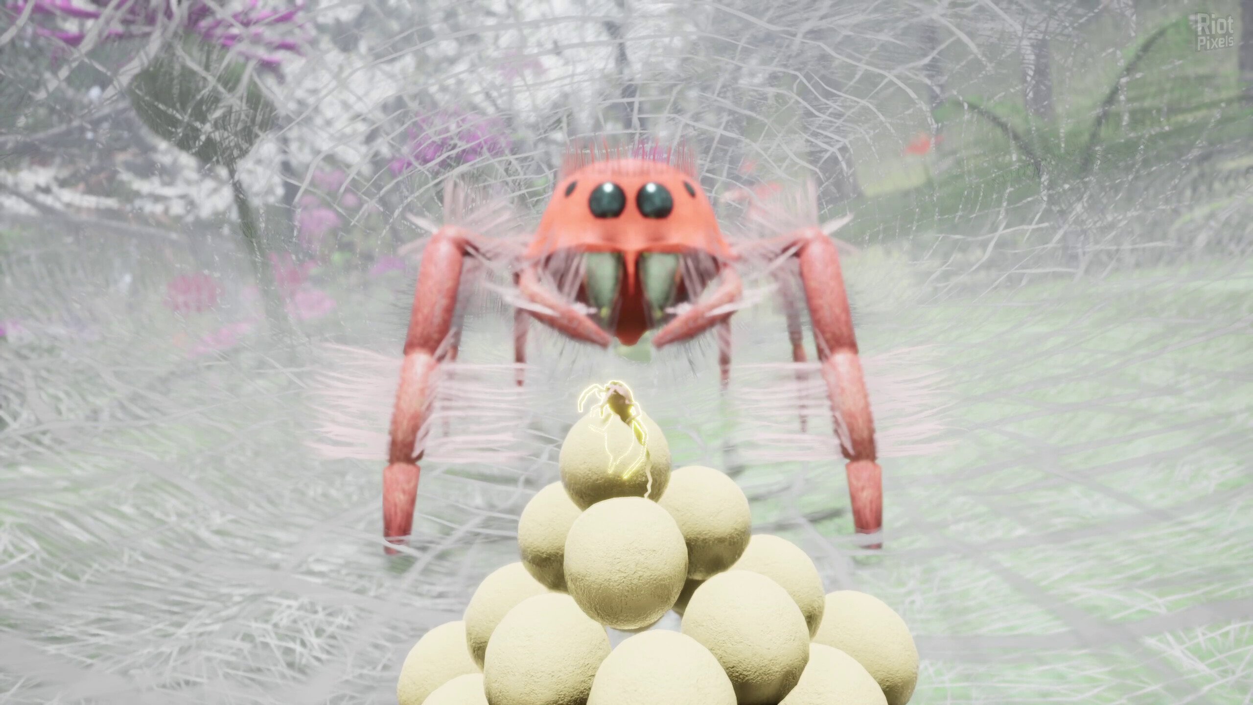 [6]-Nature & Life: Drunk On Nectar + Bonus Soundtrack Download