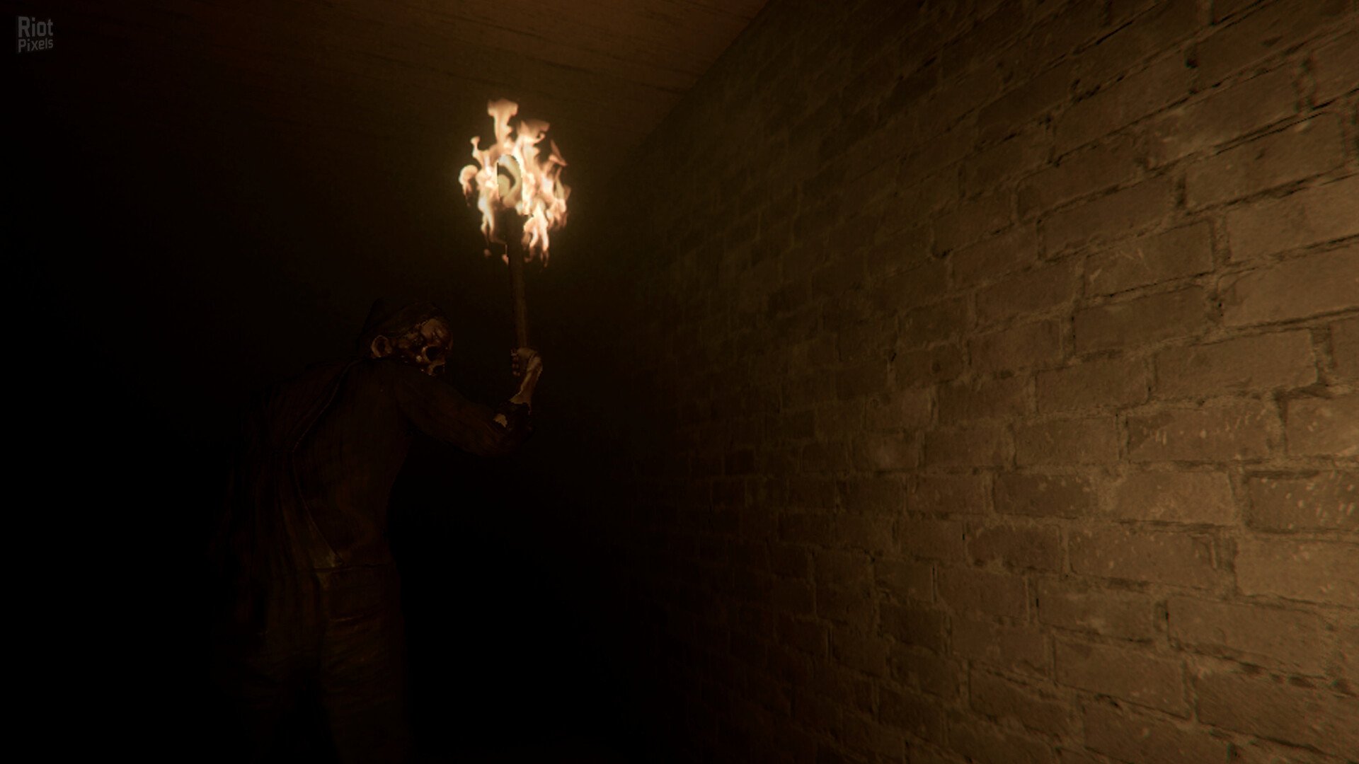 [9]-Night Grove Download