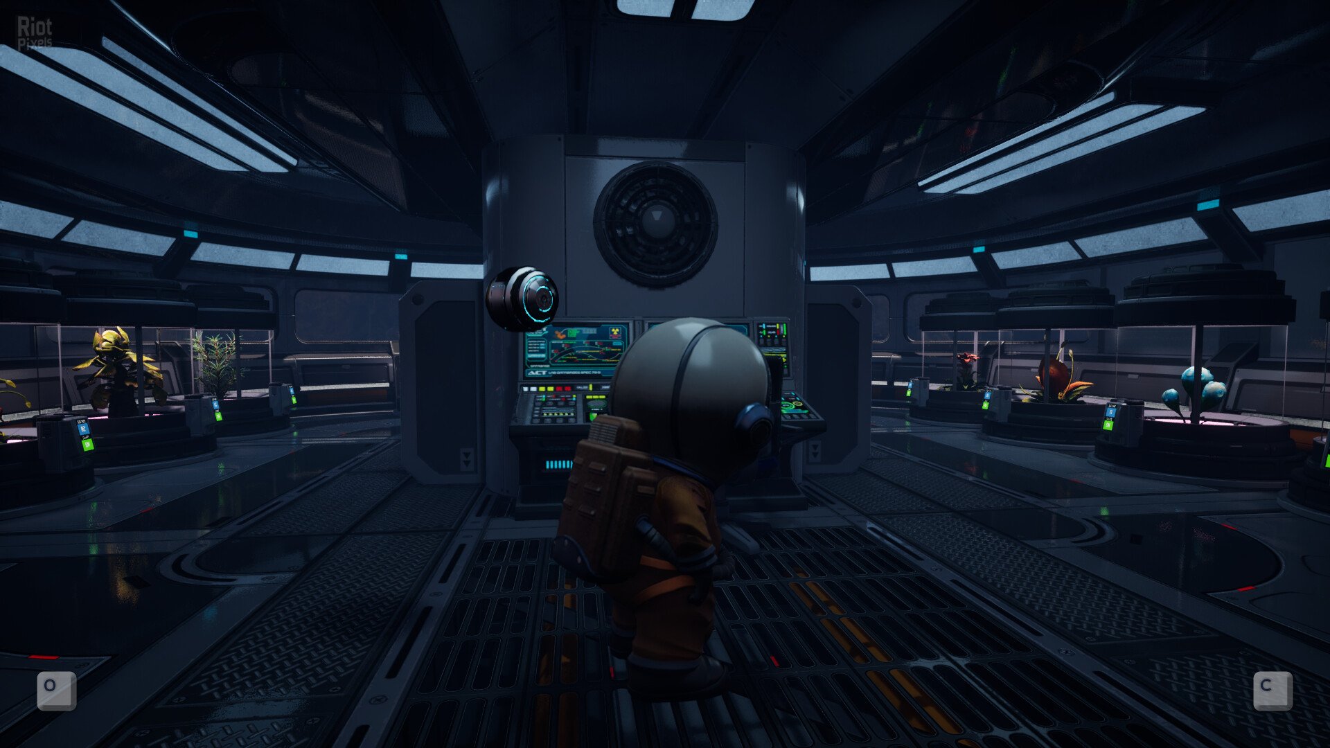 [11]-Planternauts + Windows 7 Fix Download