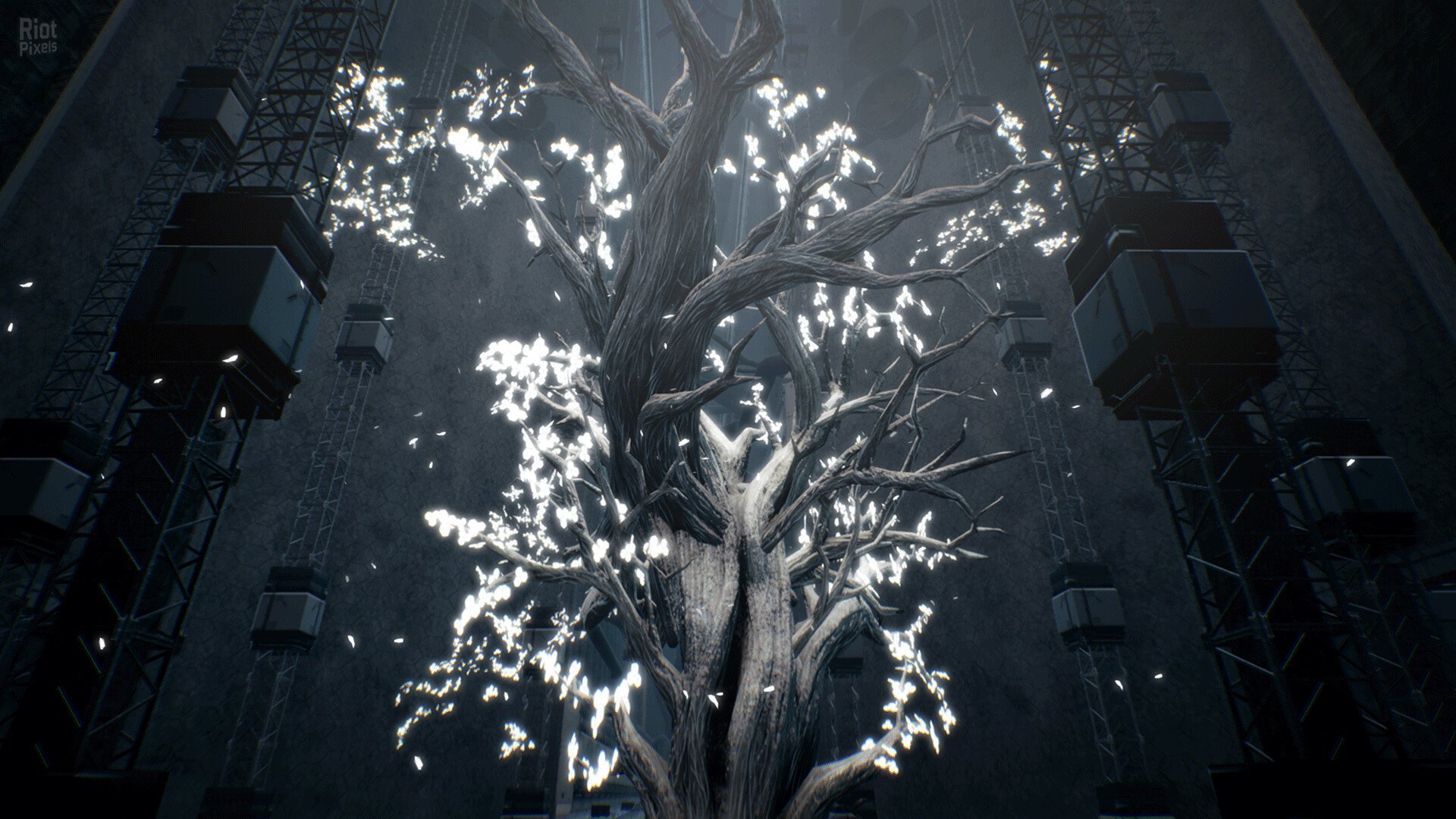 [3]-Dolls Nest + Soundtracks, v1.0.1 + Bonus Content Download