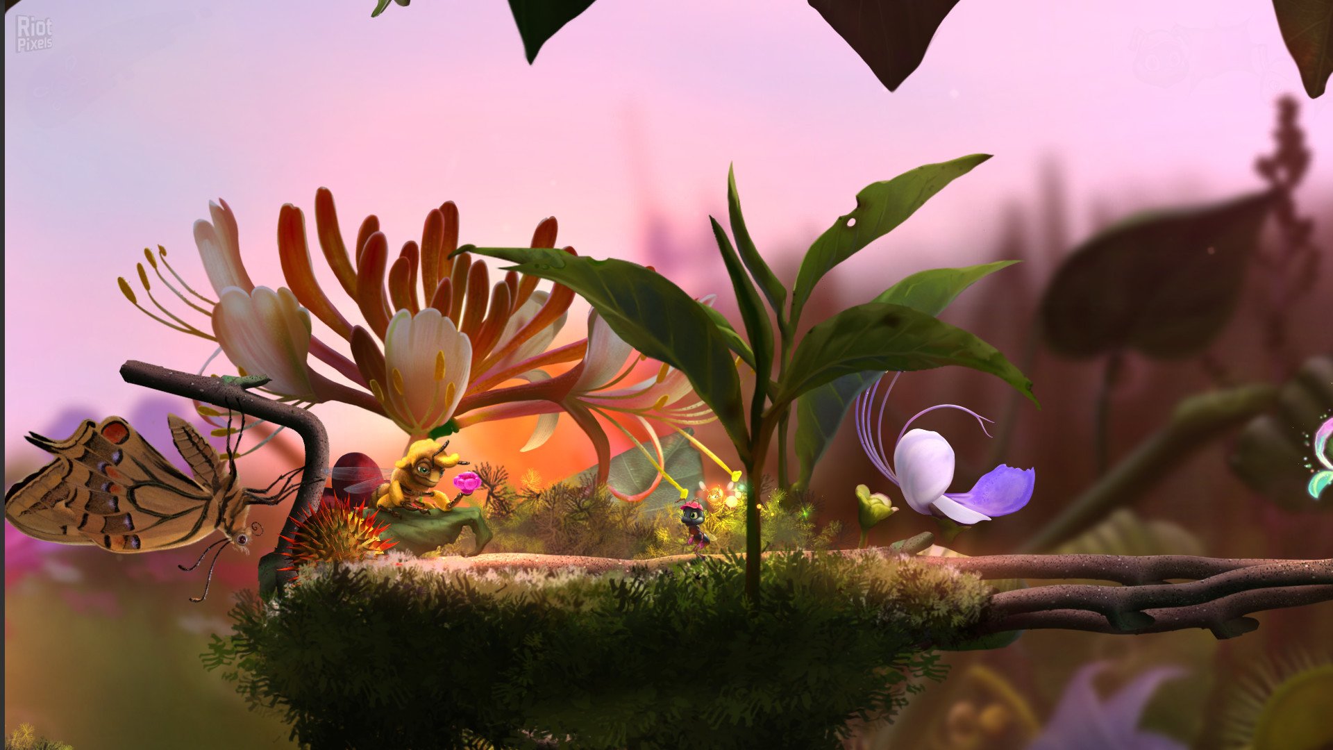 [9]-Mari and Bayu: The Road Home Download