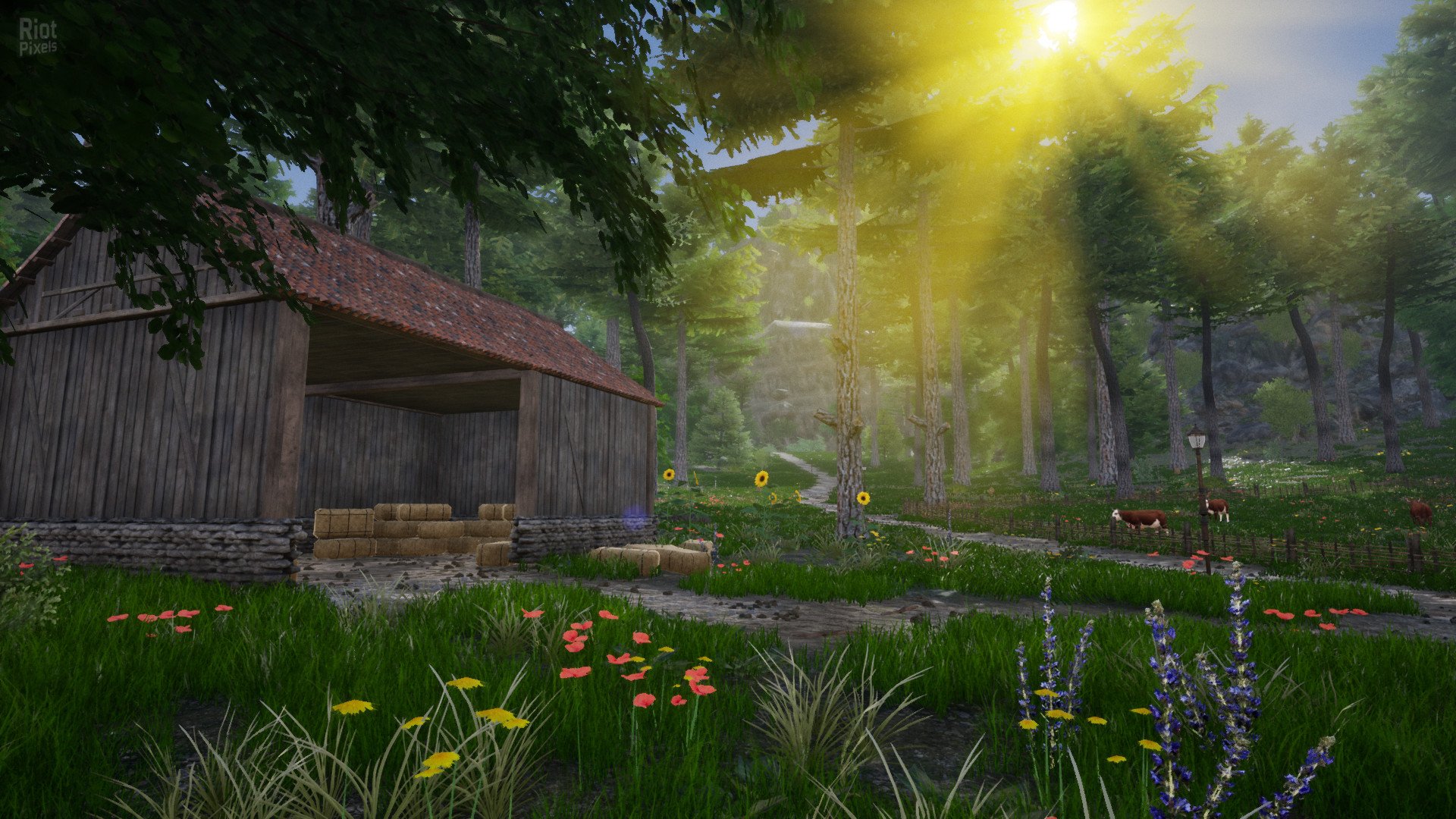 [9]-Horse Riding Deluxe 2 Download