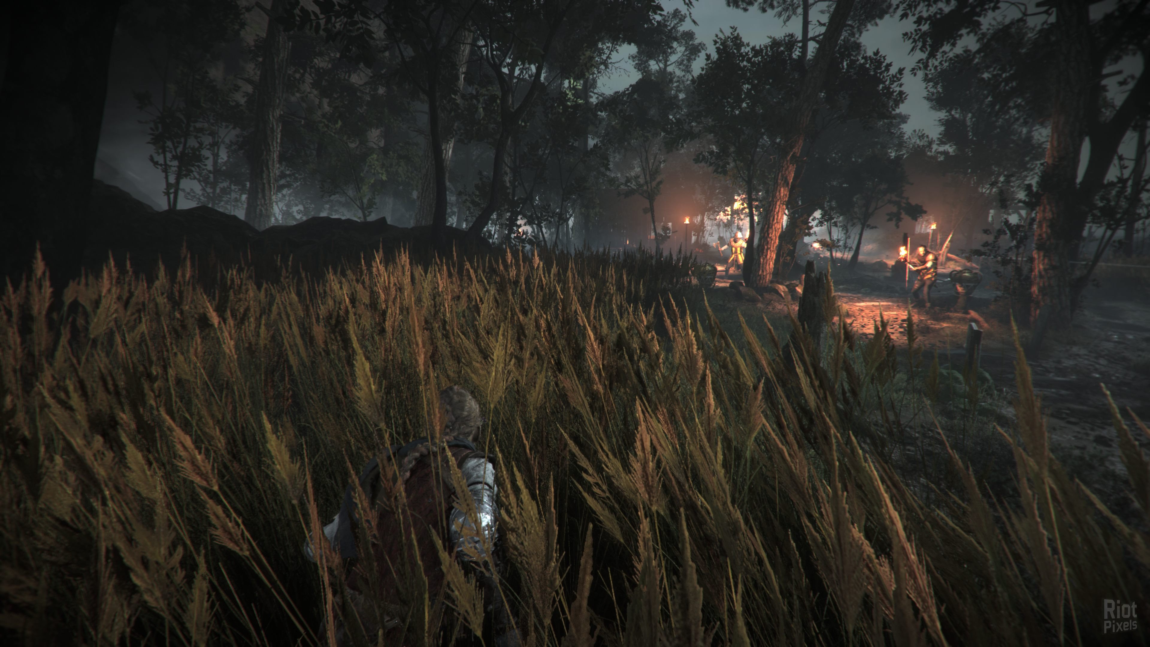 [10]-A Plague Tale: Requiem – v1.0.0.0 Steam/GOG + Protector Pack DLC Download