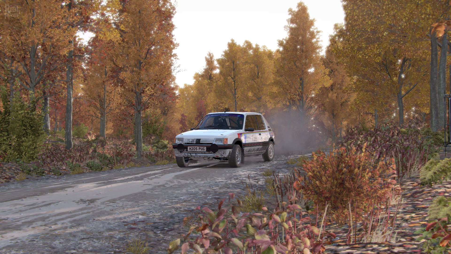 [16]-DiRT 4 – v1.02 + HotFix + 3 DLCs Download
