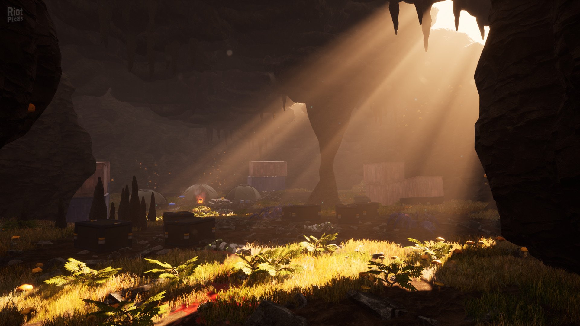 [5]-Within the Cosmos Download