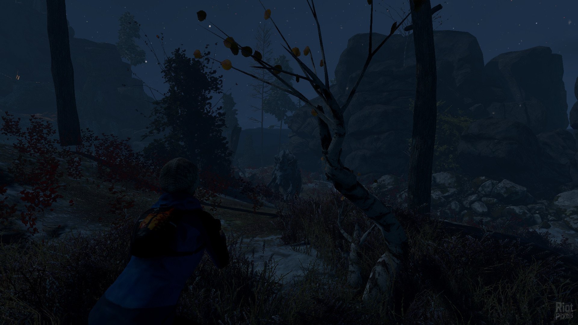 [13]-Through the Woods + HotFix Download