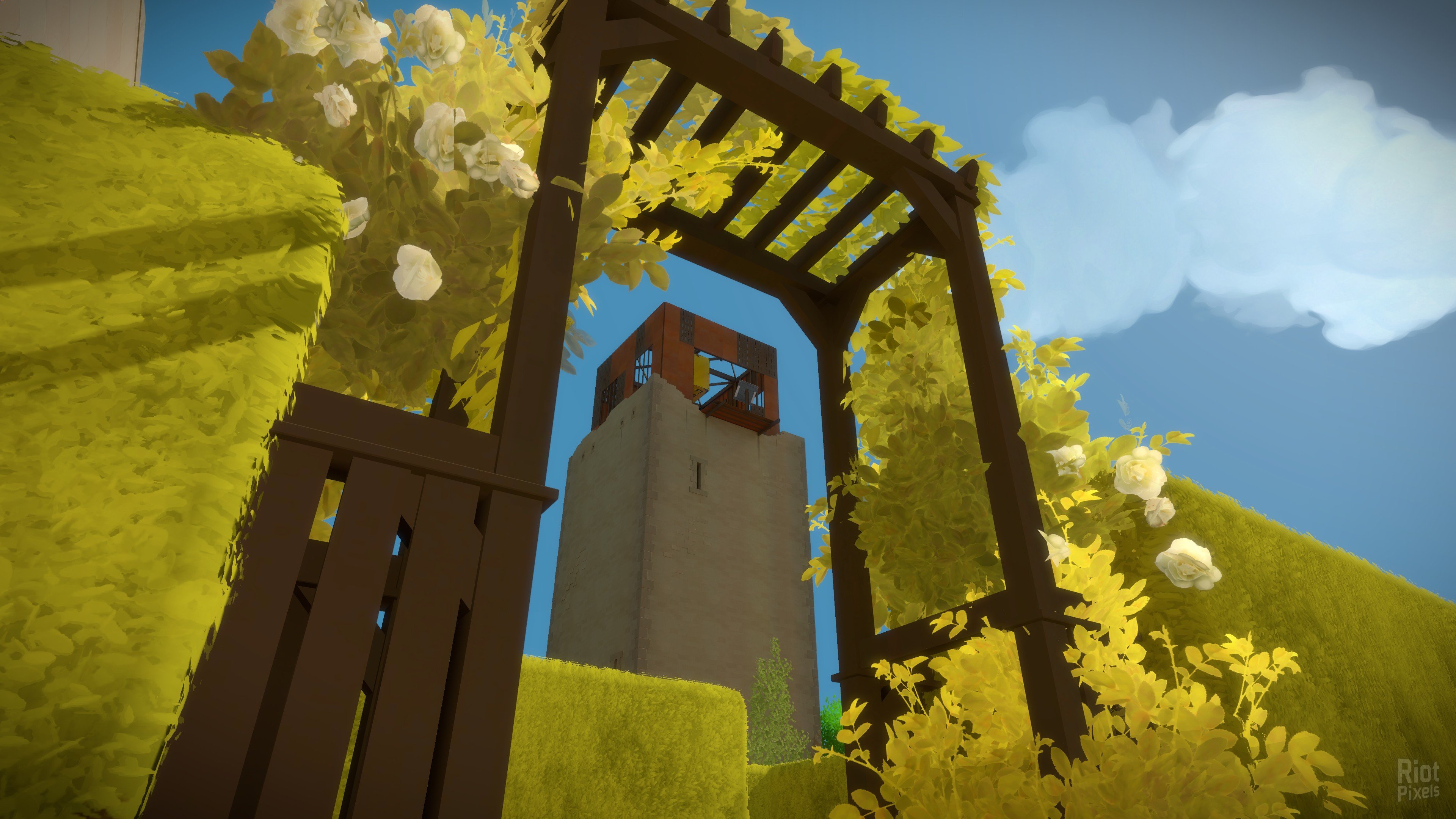 [12]-The Witness Download
