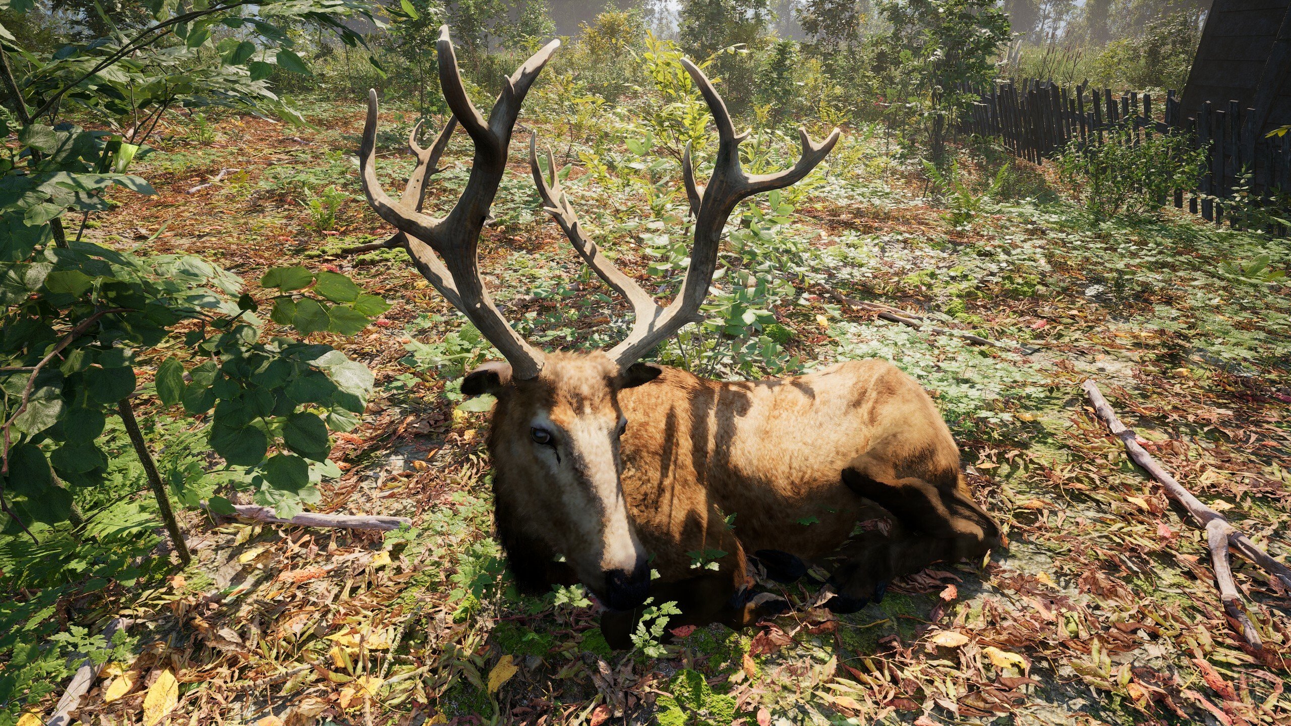 [8]-Russian Soul Simulator Download